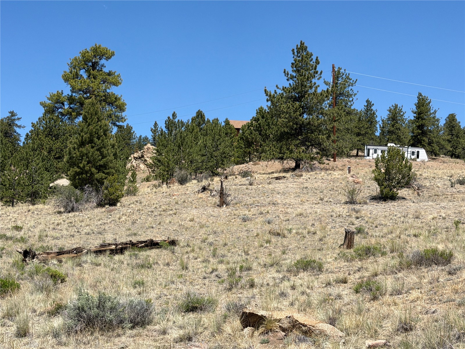 595 Bridle Path Property Photo 11