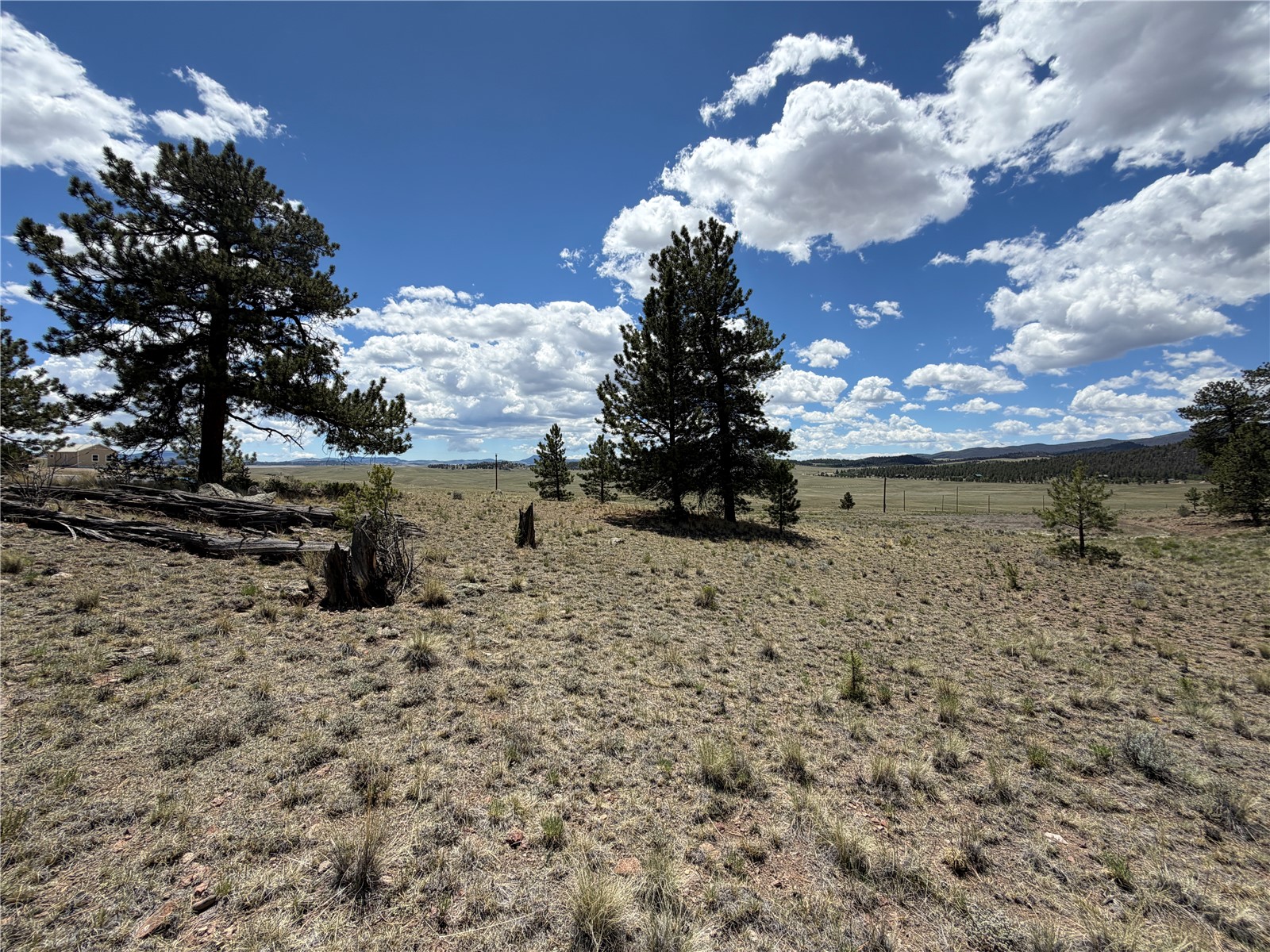 595 Bridle Path Property Photo 13