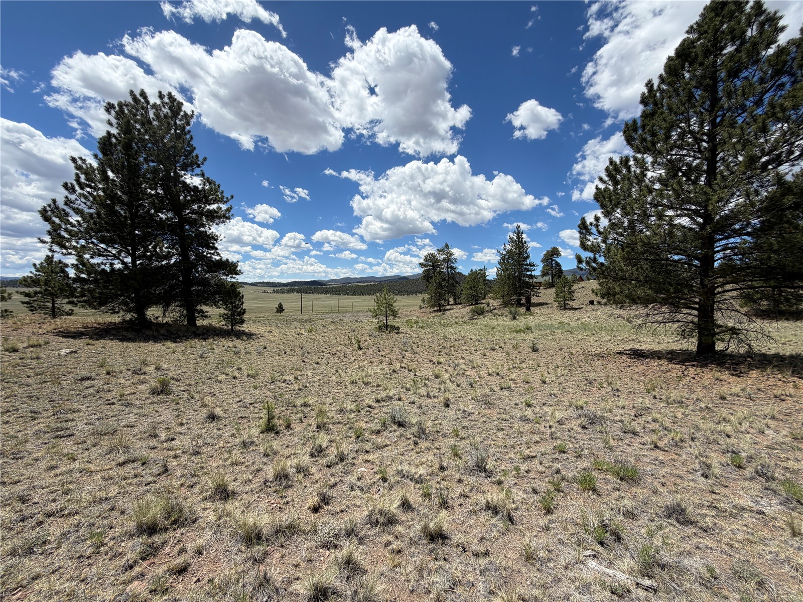595 Bridle Path Property Photo 14