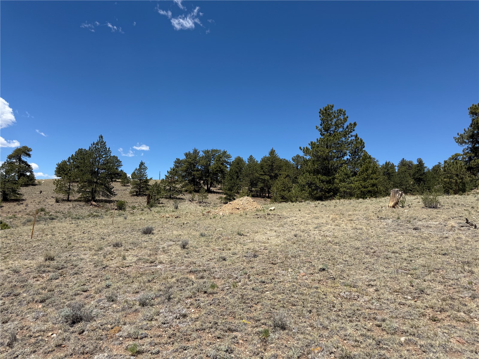 595 Bridle Path Property Photo 22