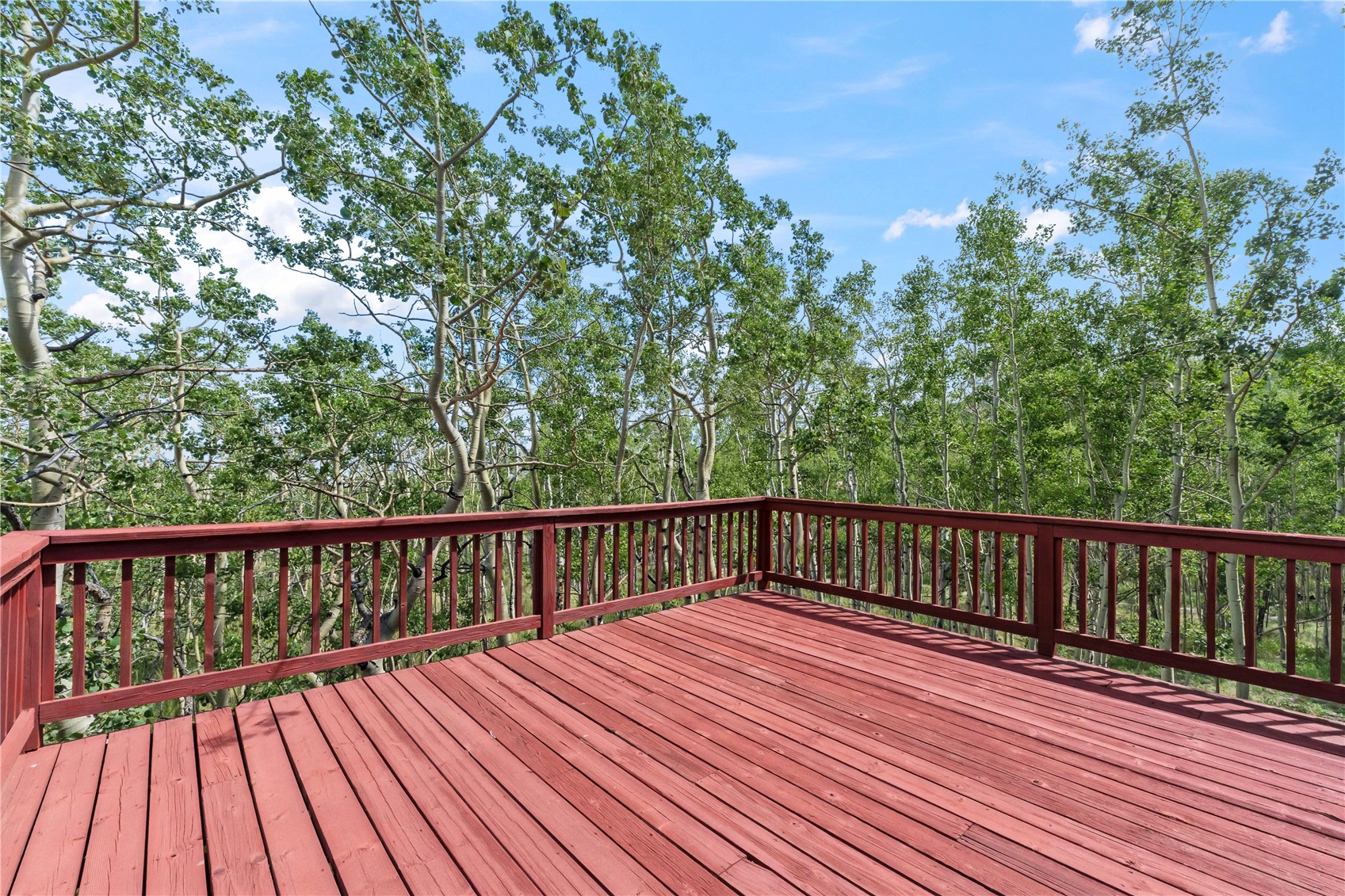 56 Sheep Ridge Road Property Photo 28