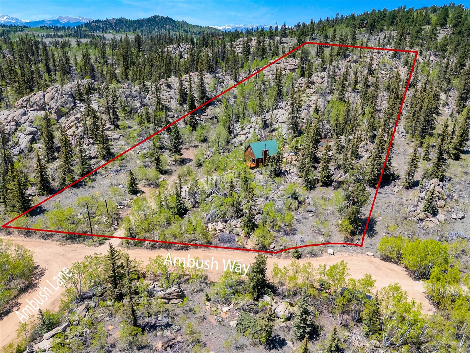 216 Ambush Lane Property Photo 23