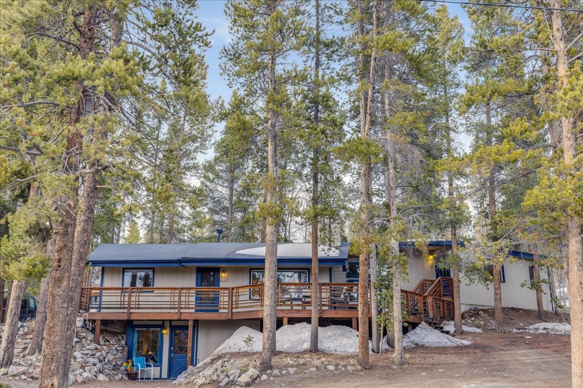1981 Boreas Pass Road Property Photo 1
