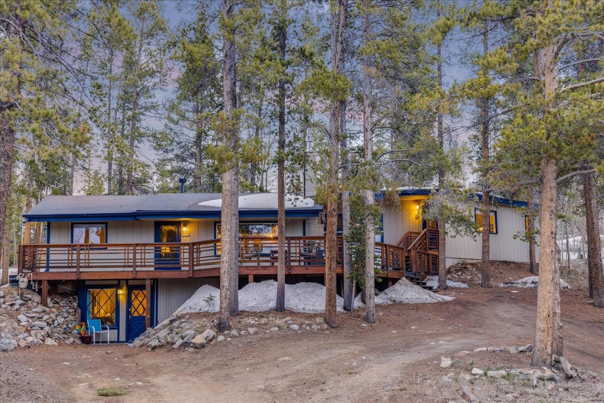 1981 Boreas Pass Road Property Photo 2