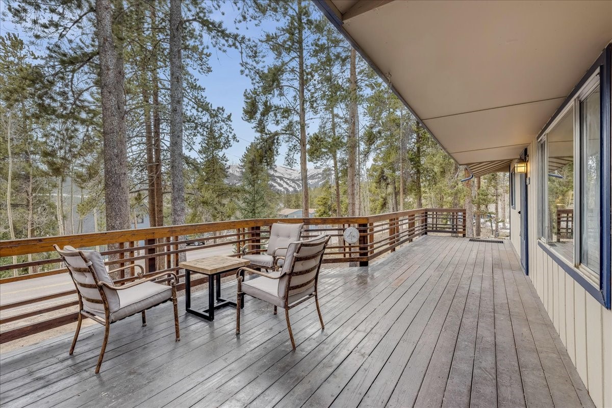 1981 Boreas Pass Road Property Photo 22