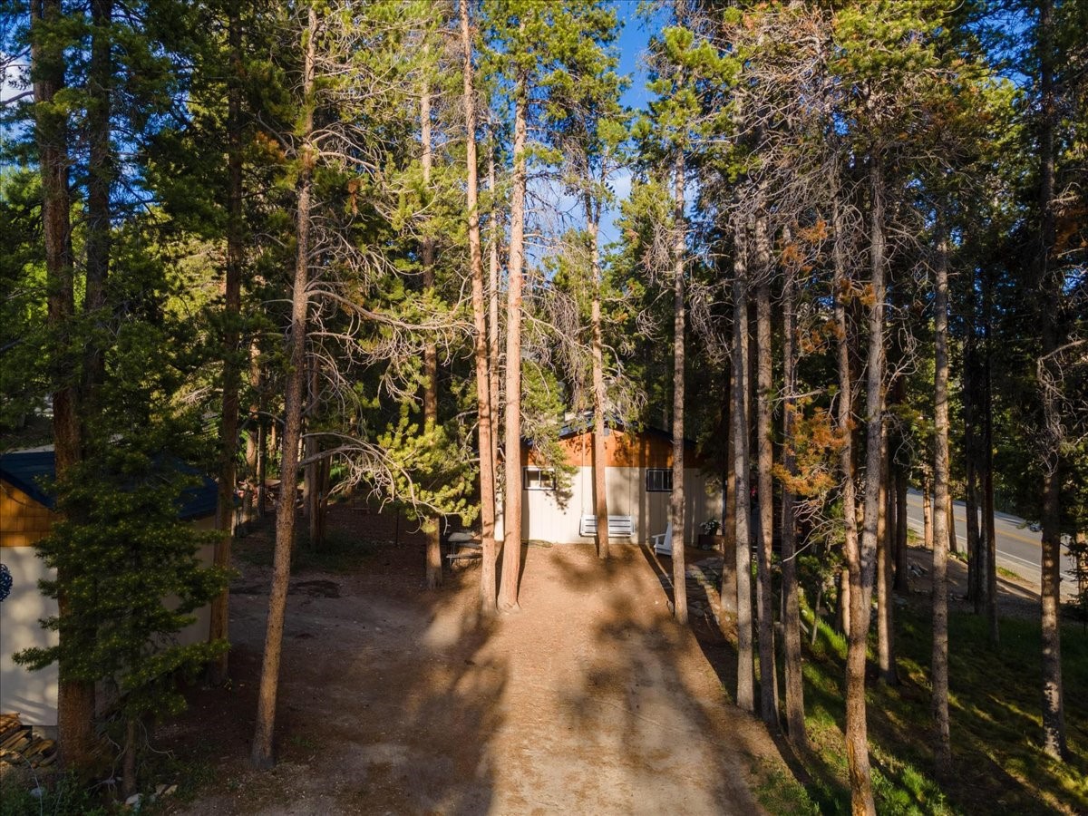 1981 Boreas Pass Road Property Photo 23