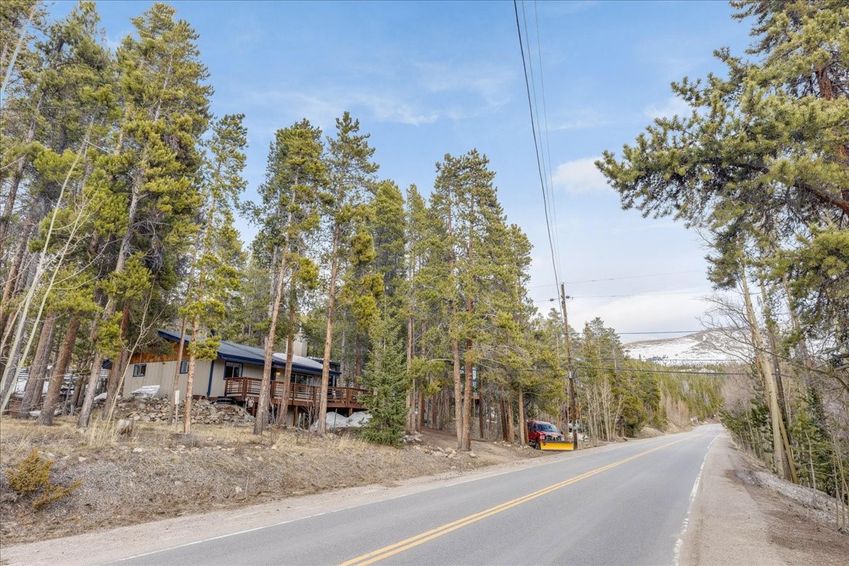 1981 Boreas Pass Road Property Photo 24