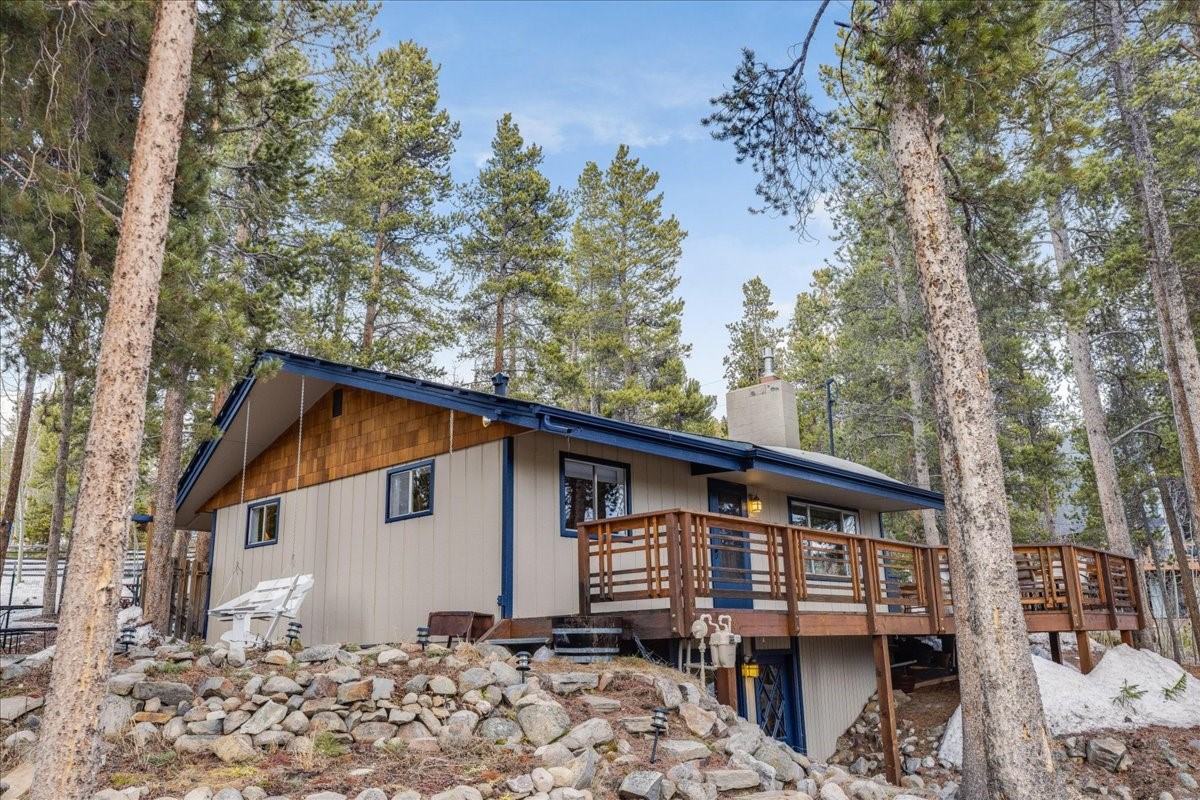 1981 Boreas Pass Road Property Photo 25