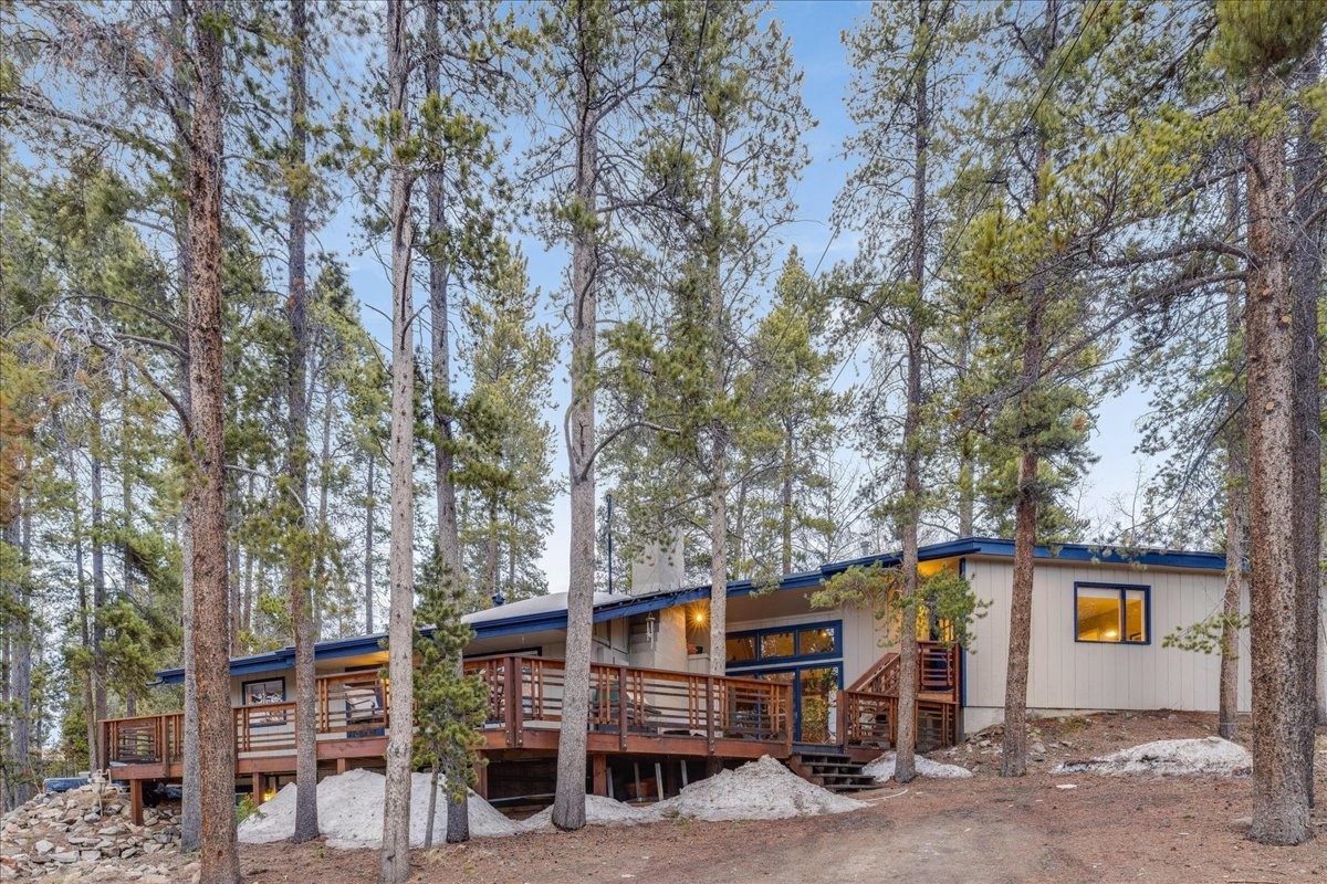 1981 Boreas Pass Road Property Photo 26