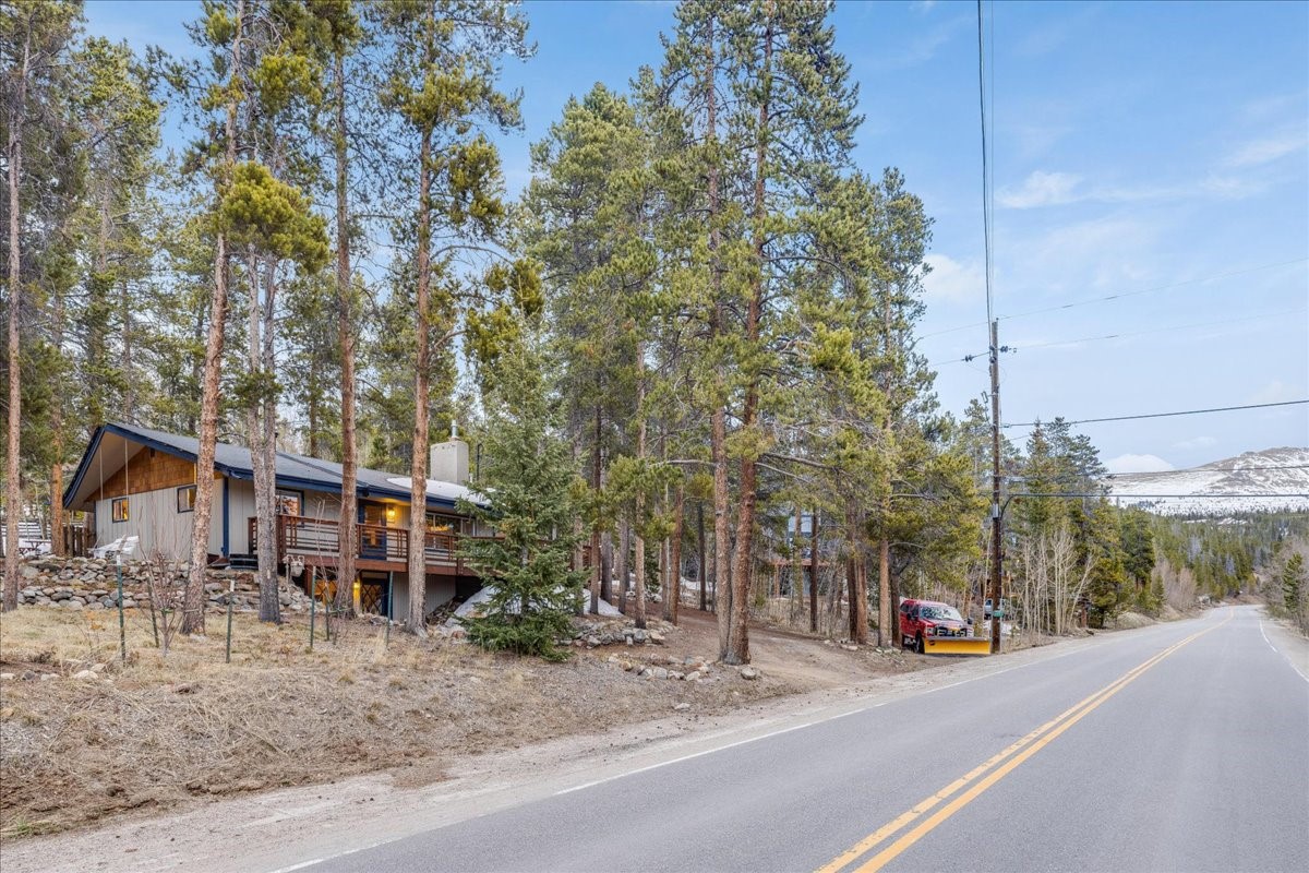 1981 Boreas Pass Road Property Photo 27