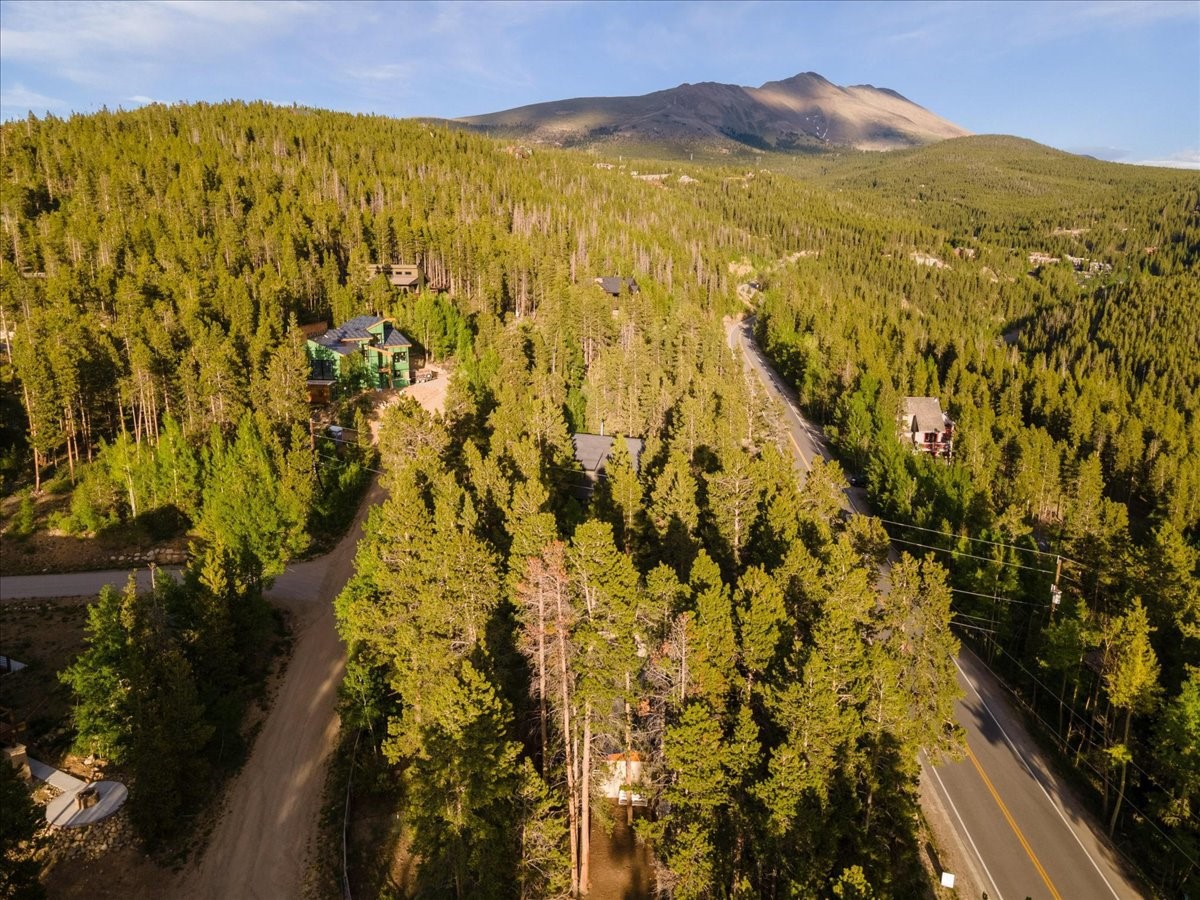 1981 Boreas Pass Road Property Photo 28