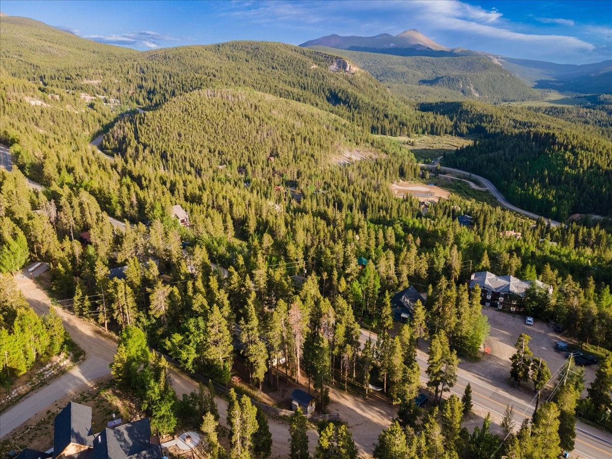 1981 Boreas Pass Road Property Photo 30