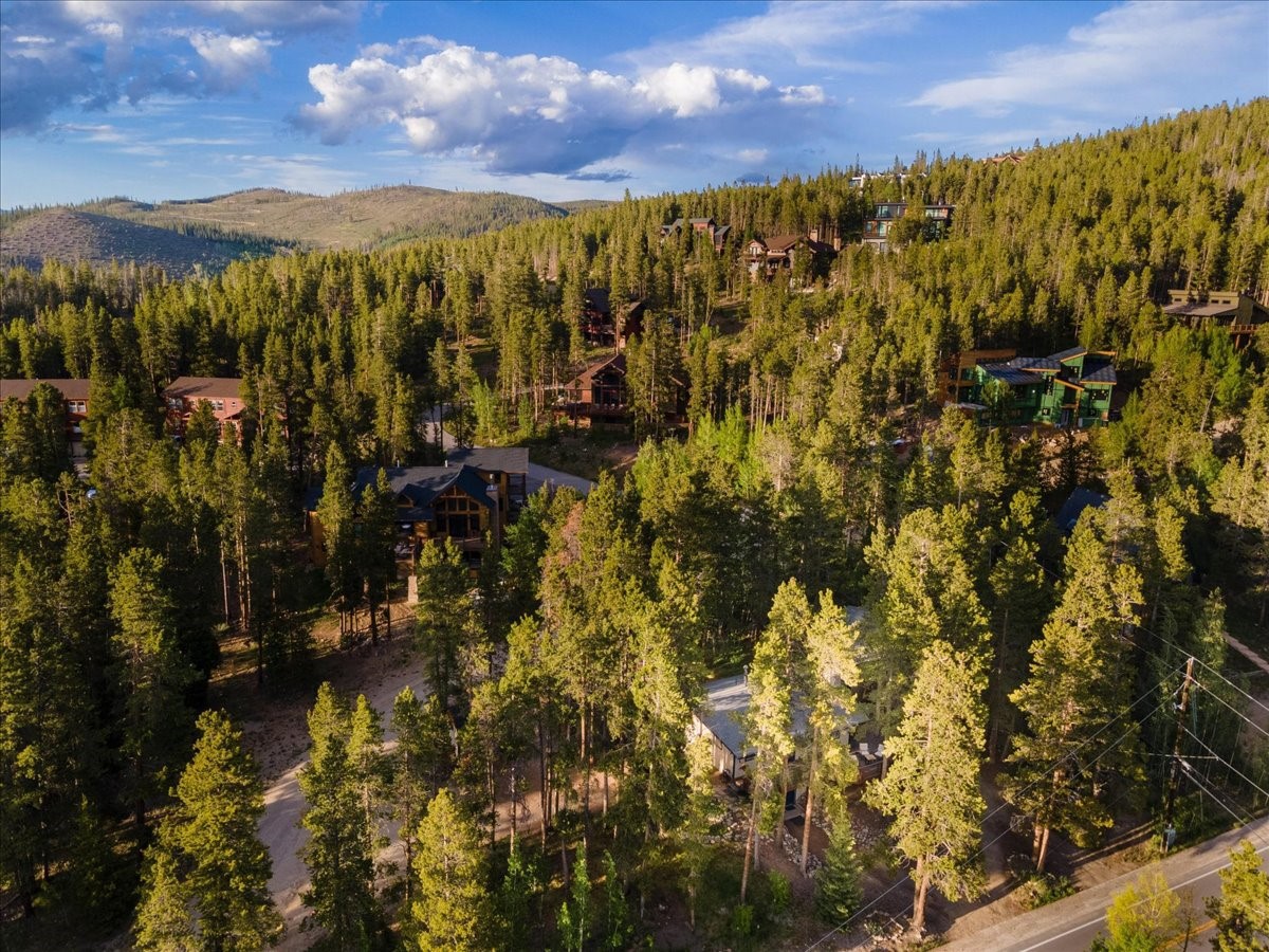 1981 Boreas Pass Road Property Photo 31