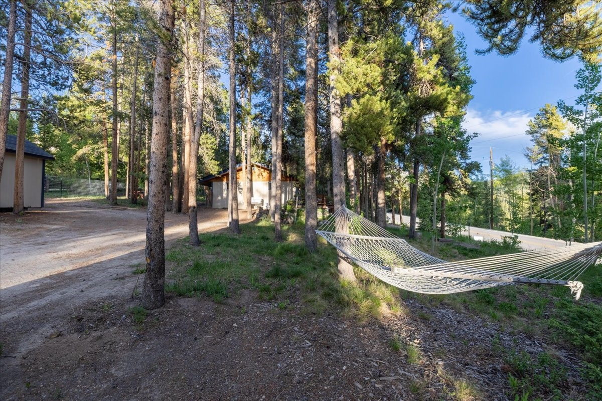 1981 Boreas Pass Road Property Photo 32