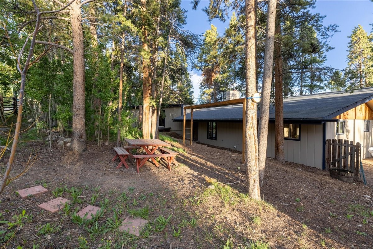 1981 Boreas Pass Road Property Photo 33