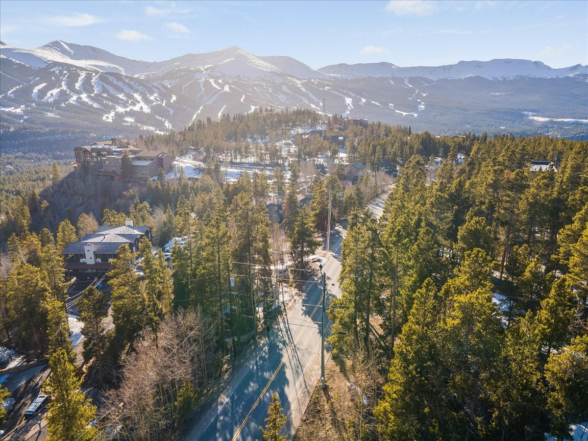 1981 Boreas Pass Road Property Photo 34
