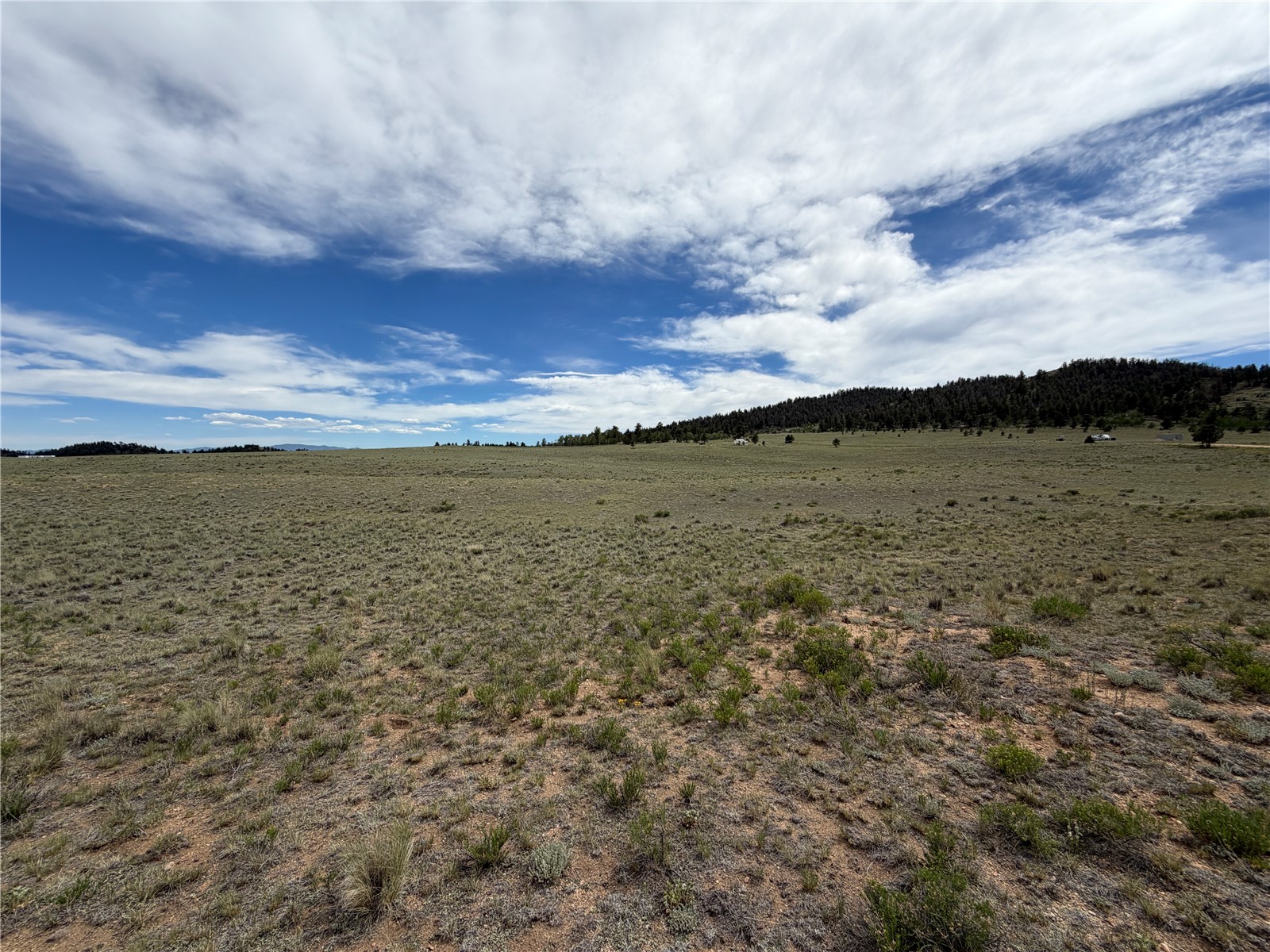 776 Commanche Trail Property Photo 1
