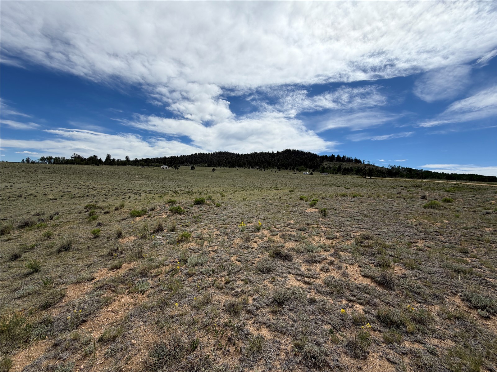776 Commanche Trail Property Photo 4