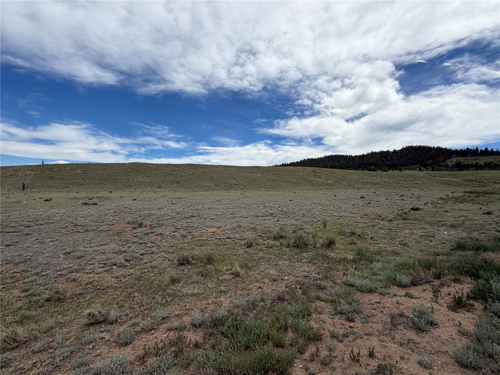 776 Commanche Trail Property Photo 5