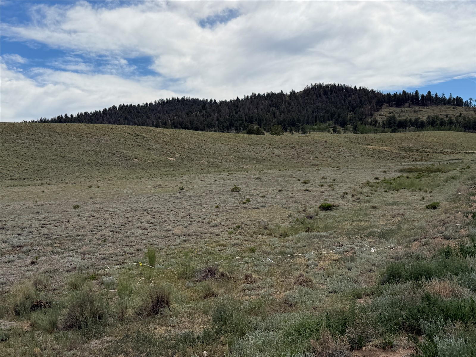 776 Commanche Trail Property Photo 6