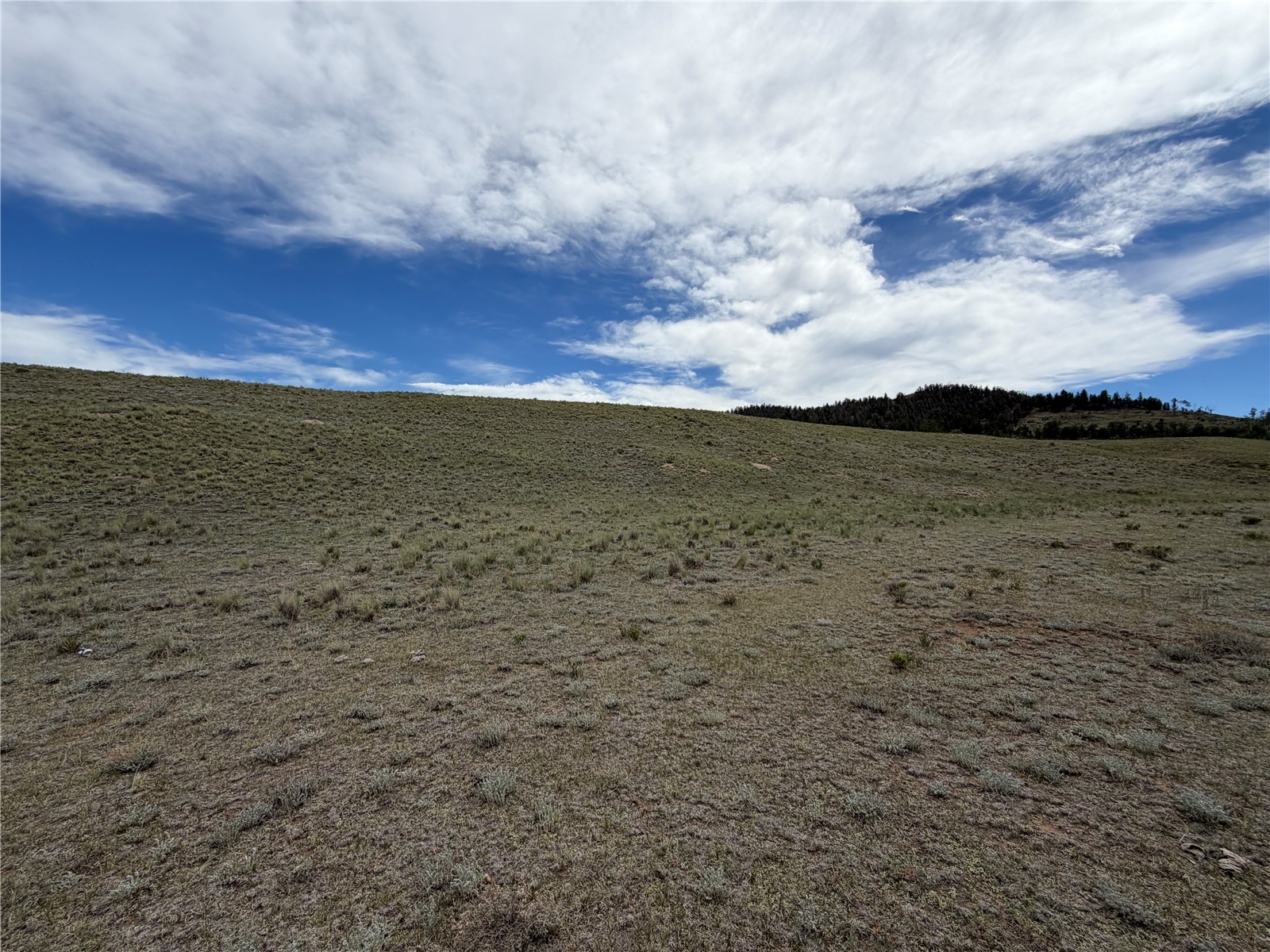 776 Commanche Trail Property Photo 8