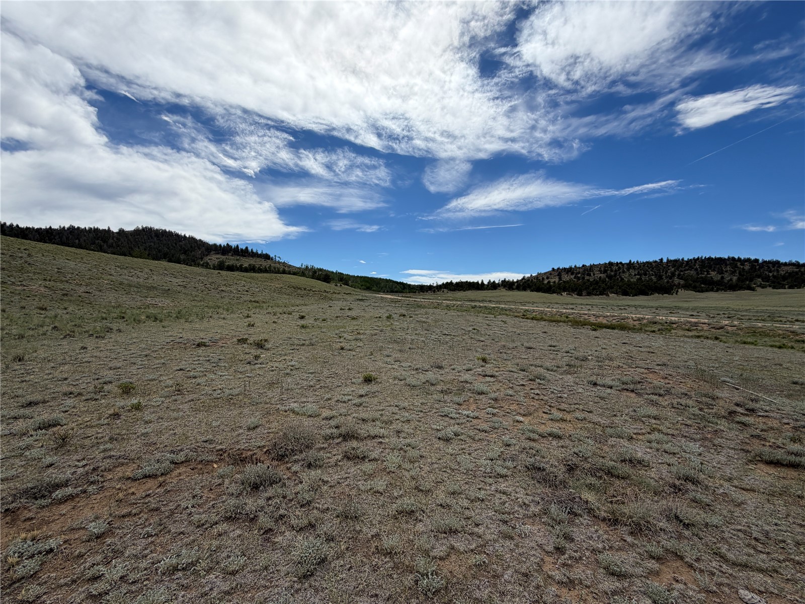 776 Commanche Trail Property Photo 9