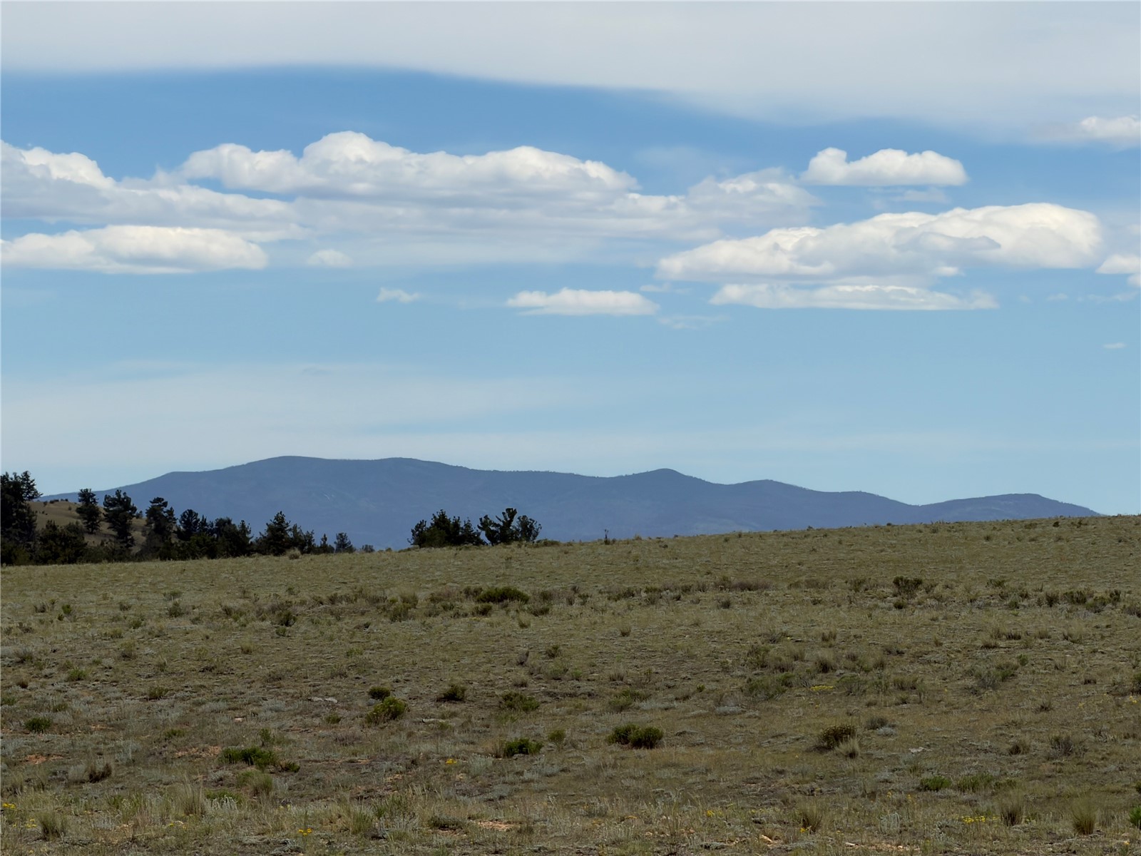 776 Commanche Trail Property Photo 11