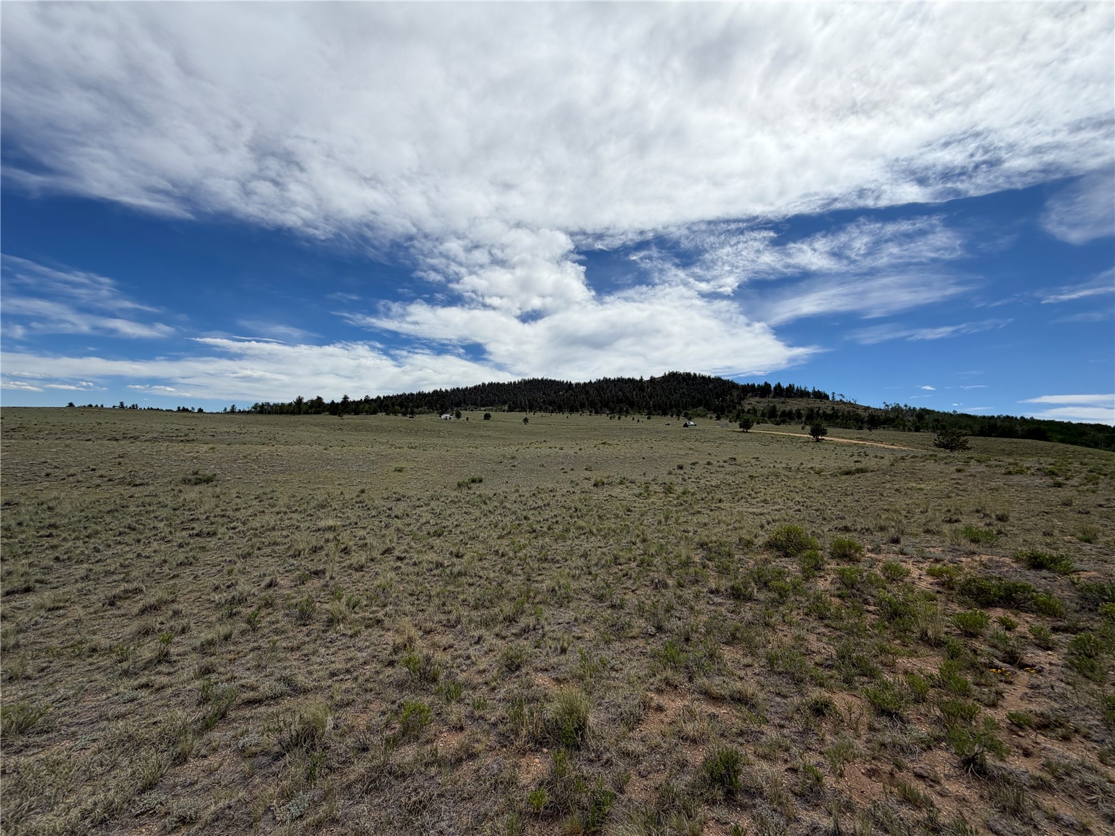 776 Commanche Trail Property Photo 12