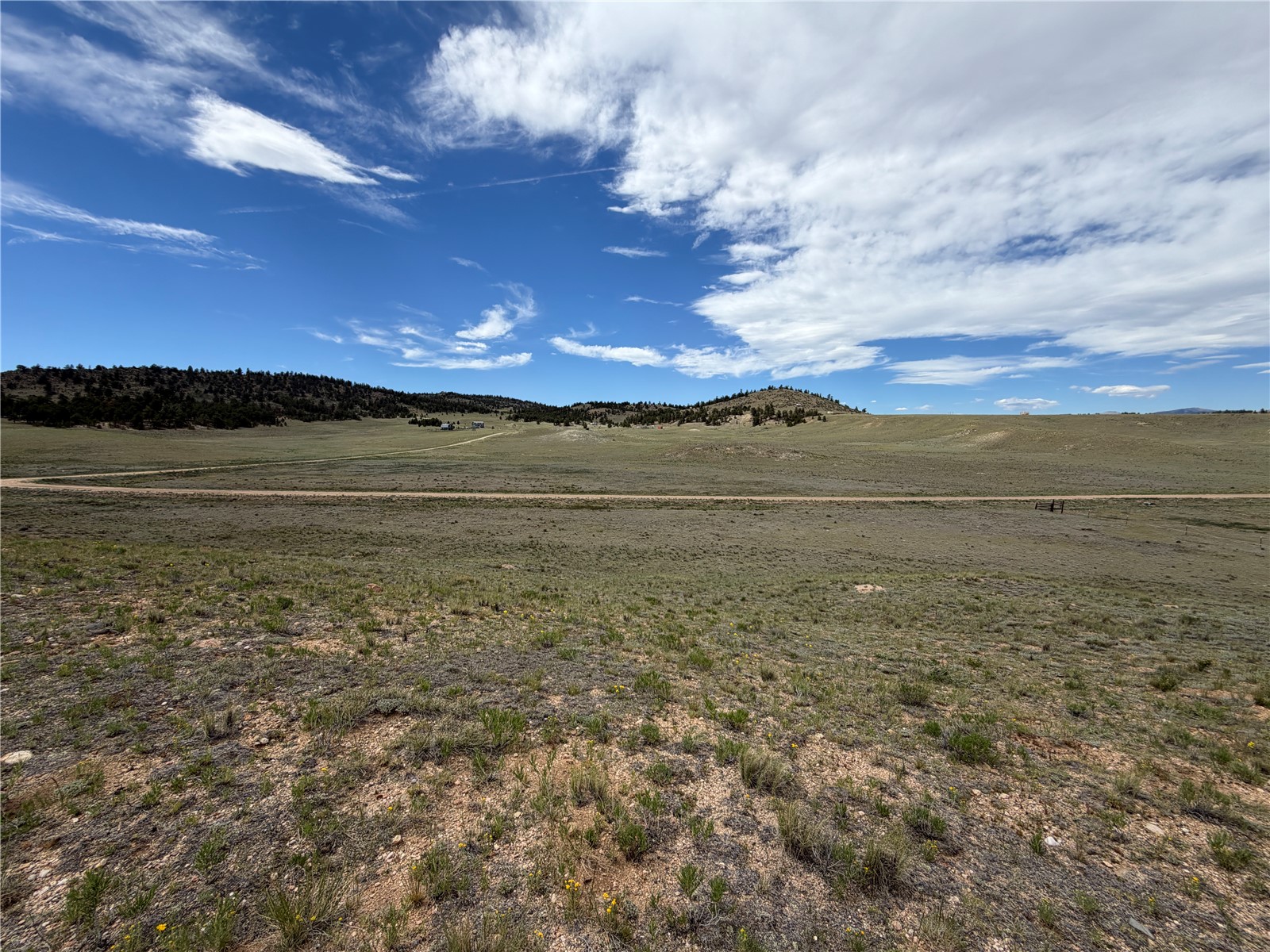 776 Commanche Trail Property Photo 14