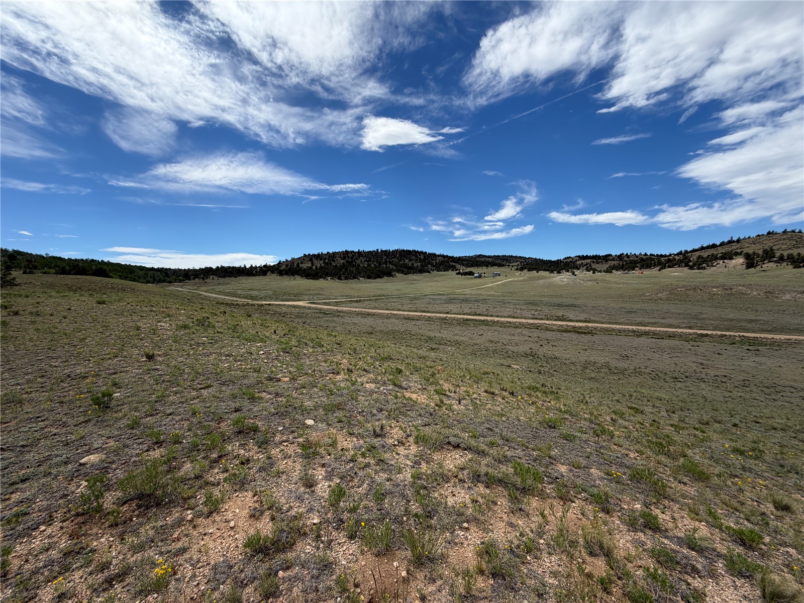 776 Commanche Trail Property Photo 15