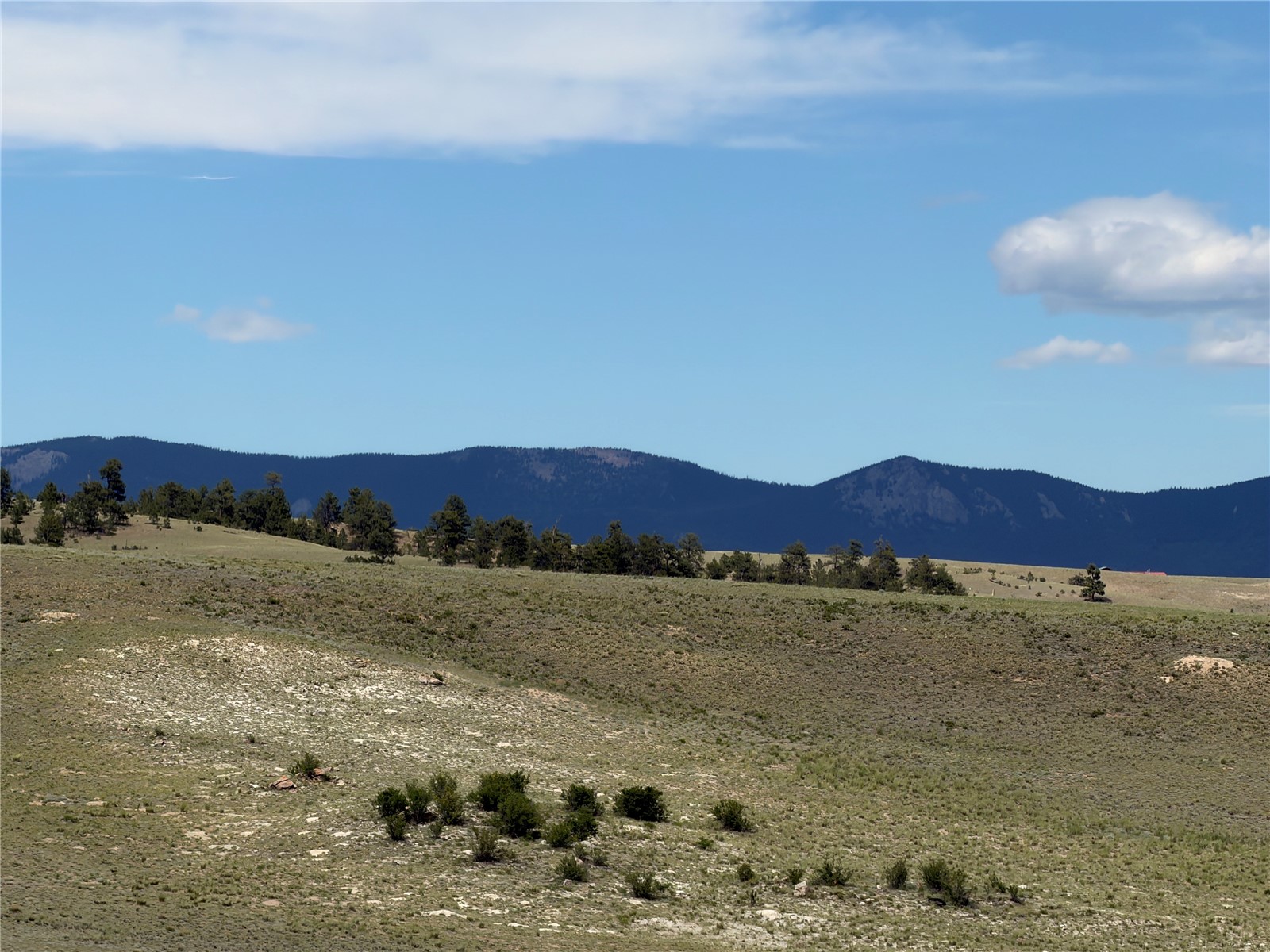 776 Commanche Trail Property Photo 17