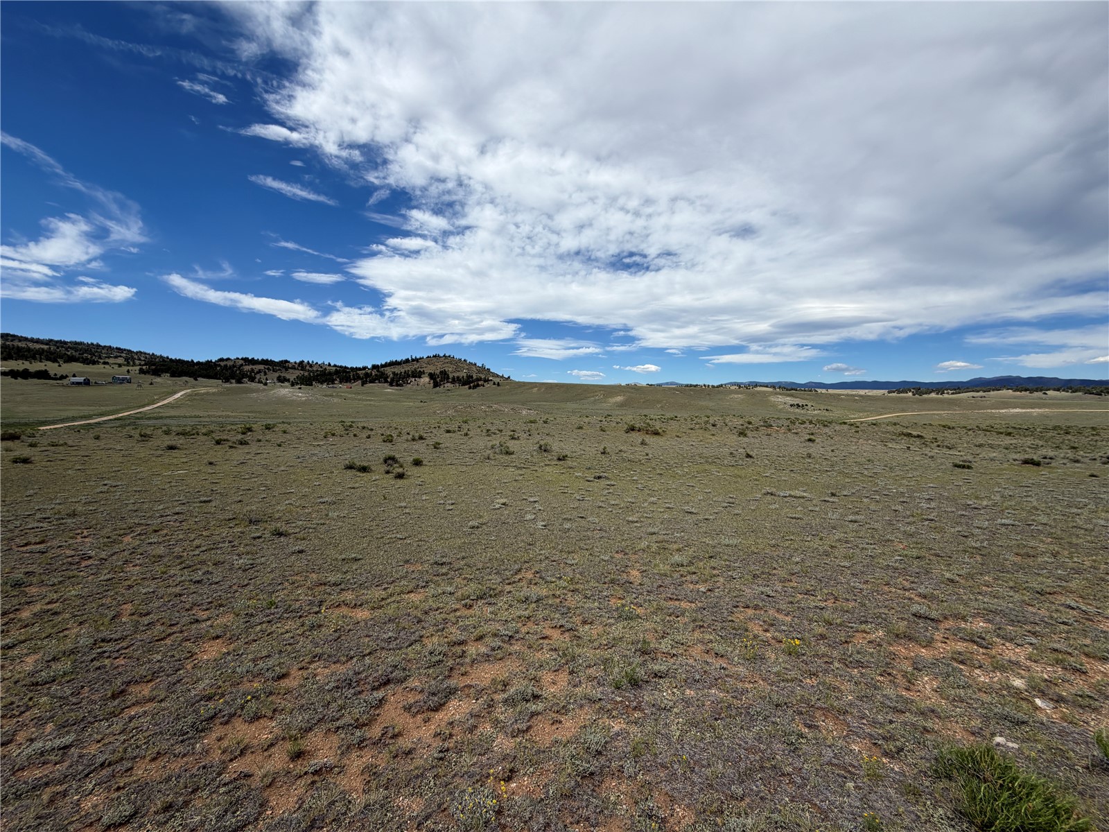 776 Commanche Trail Property Photo 19