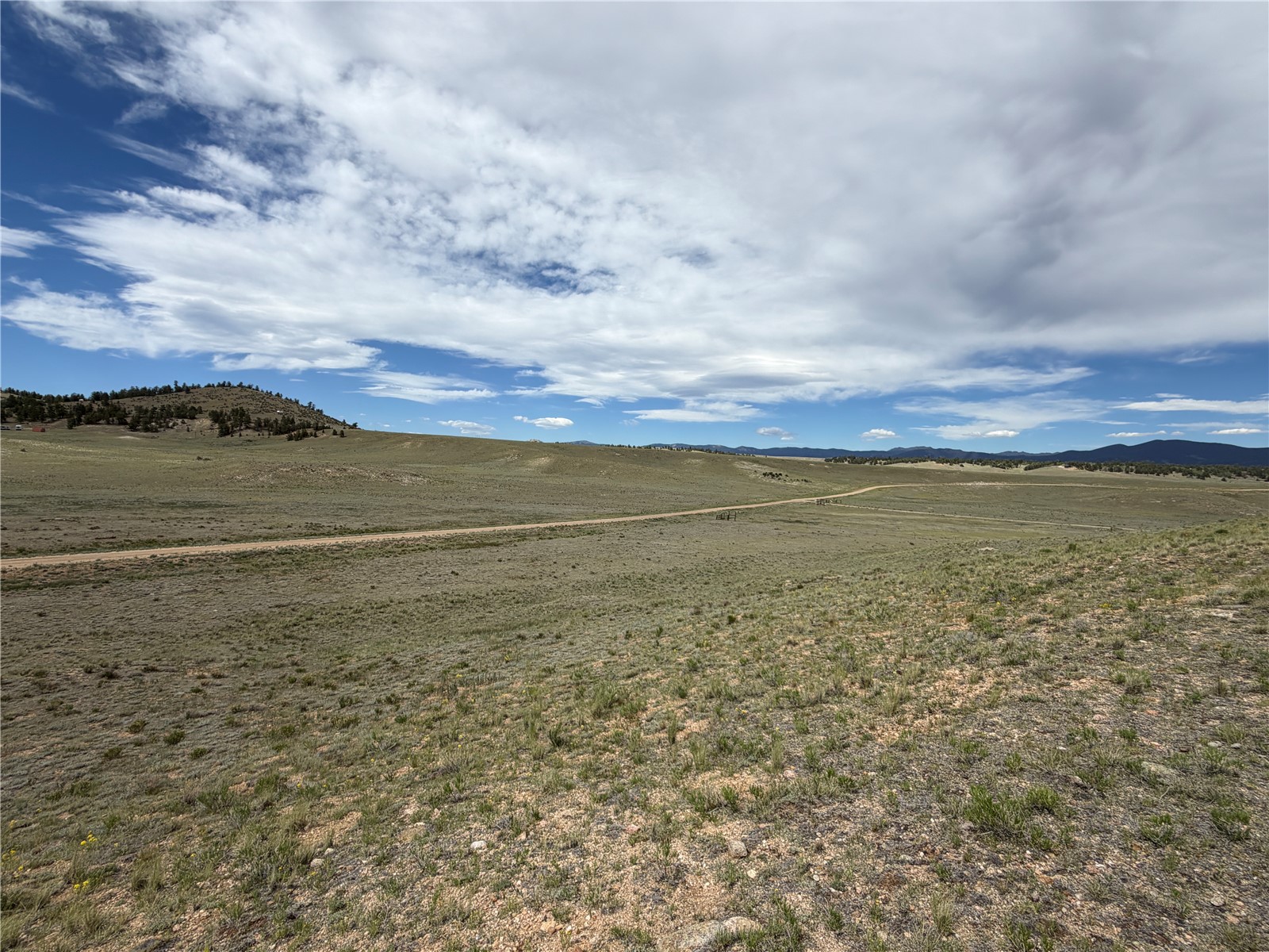 776 Commanche Trail Property Photo 22