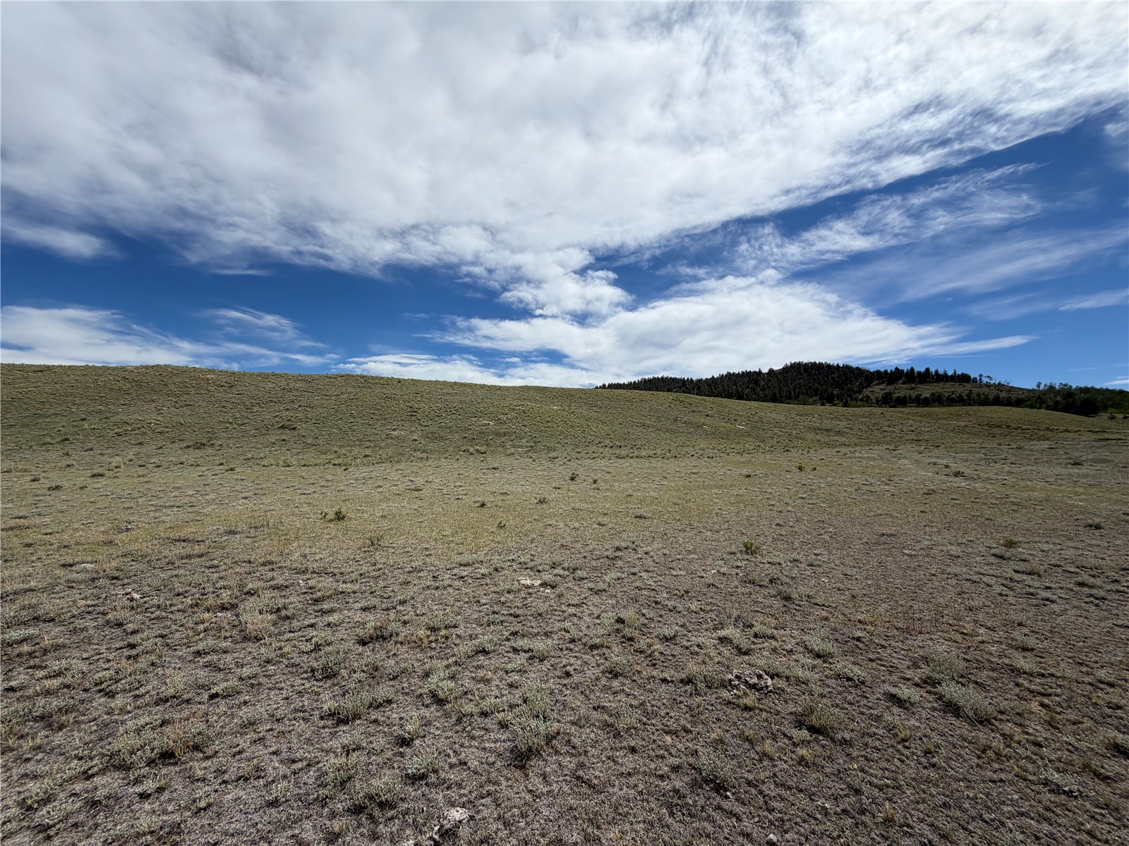 776 Commanche Trail Property Photo 24