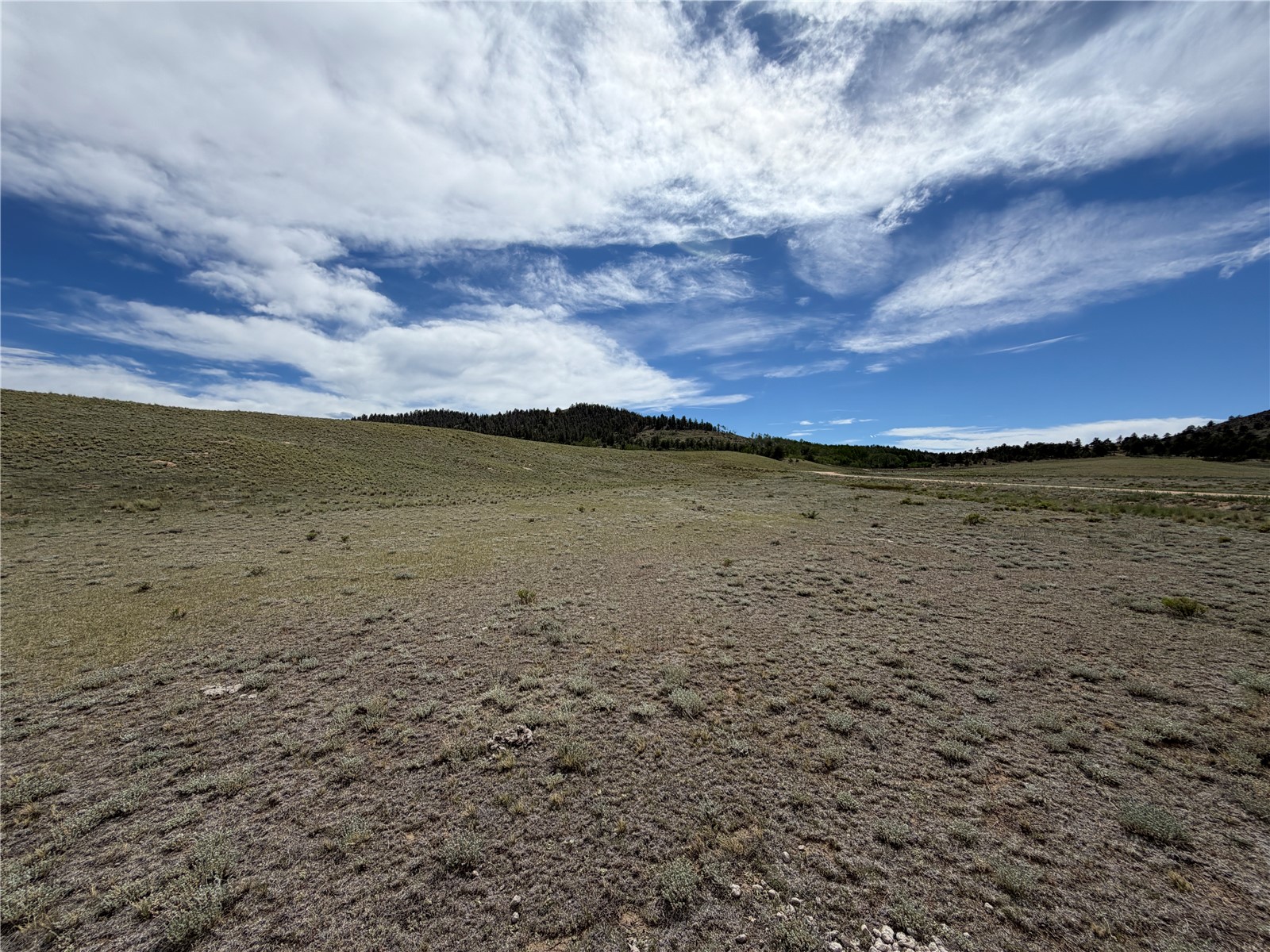 776 Commanche Trail Property Photo 25