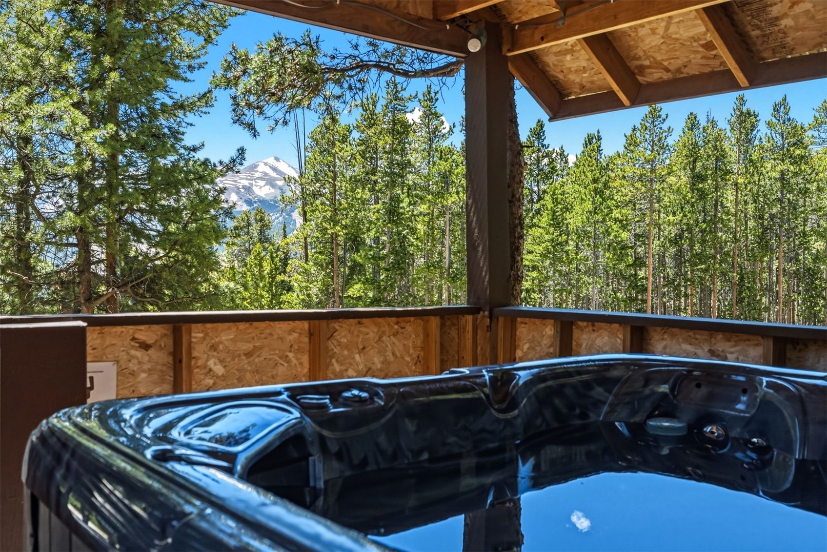 1233 Baldy Road Property Photo 33