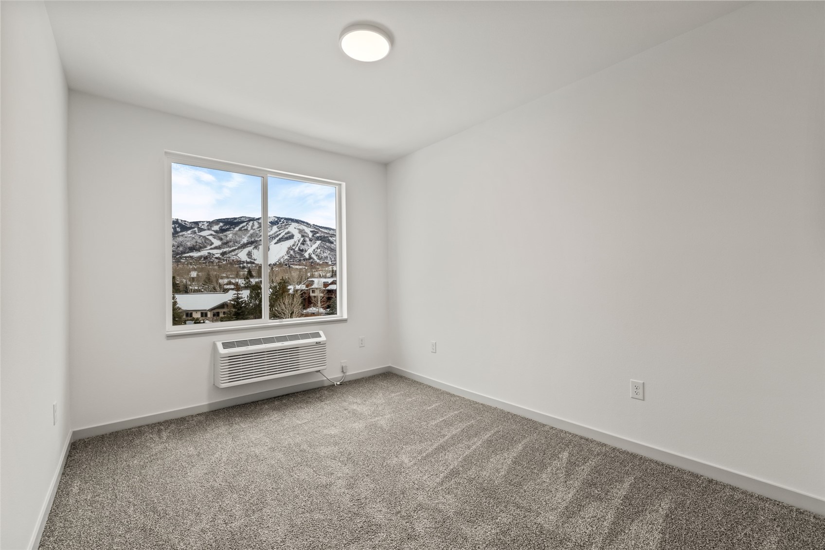 1650 Mid Valley Drive 1209 Property Photo 4