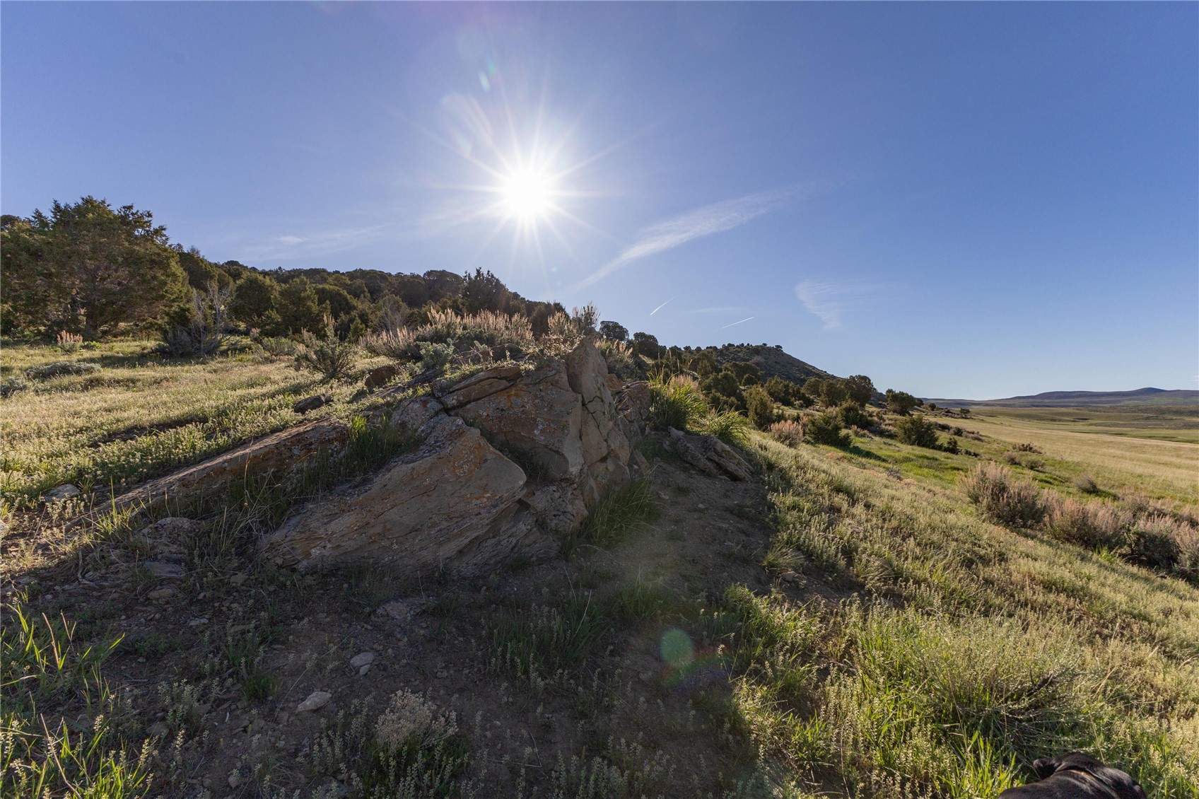 Tbd State Highway 394 Property Photo 3