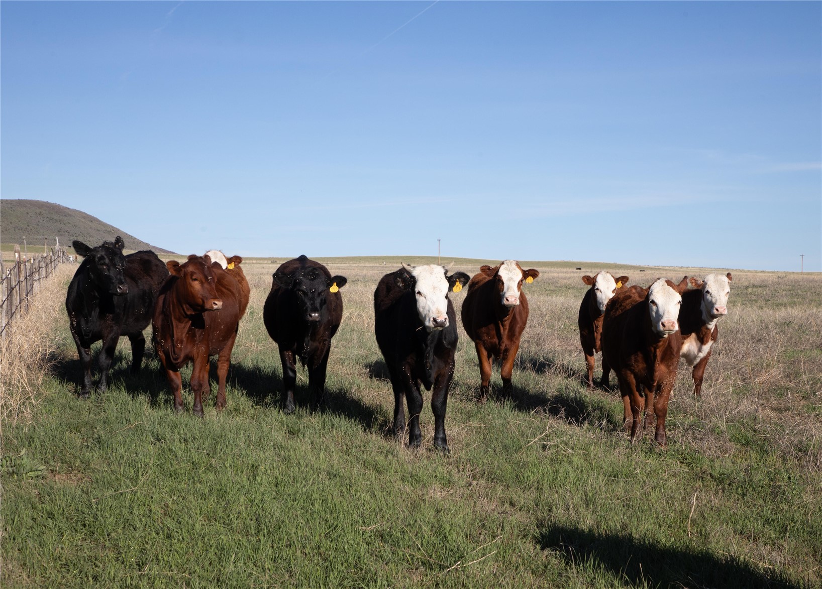 Tbd State Highway 394 Property Photo 14