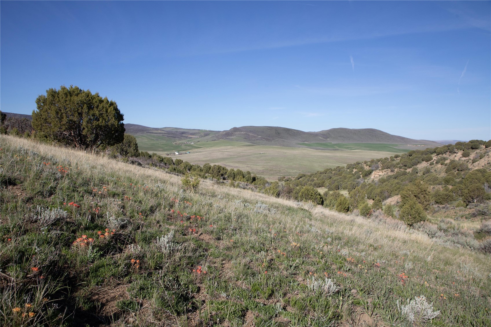 Tbd State Highway 394 Property Photo 16