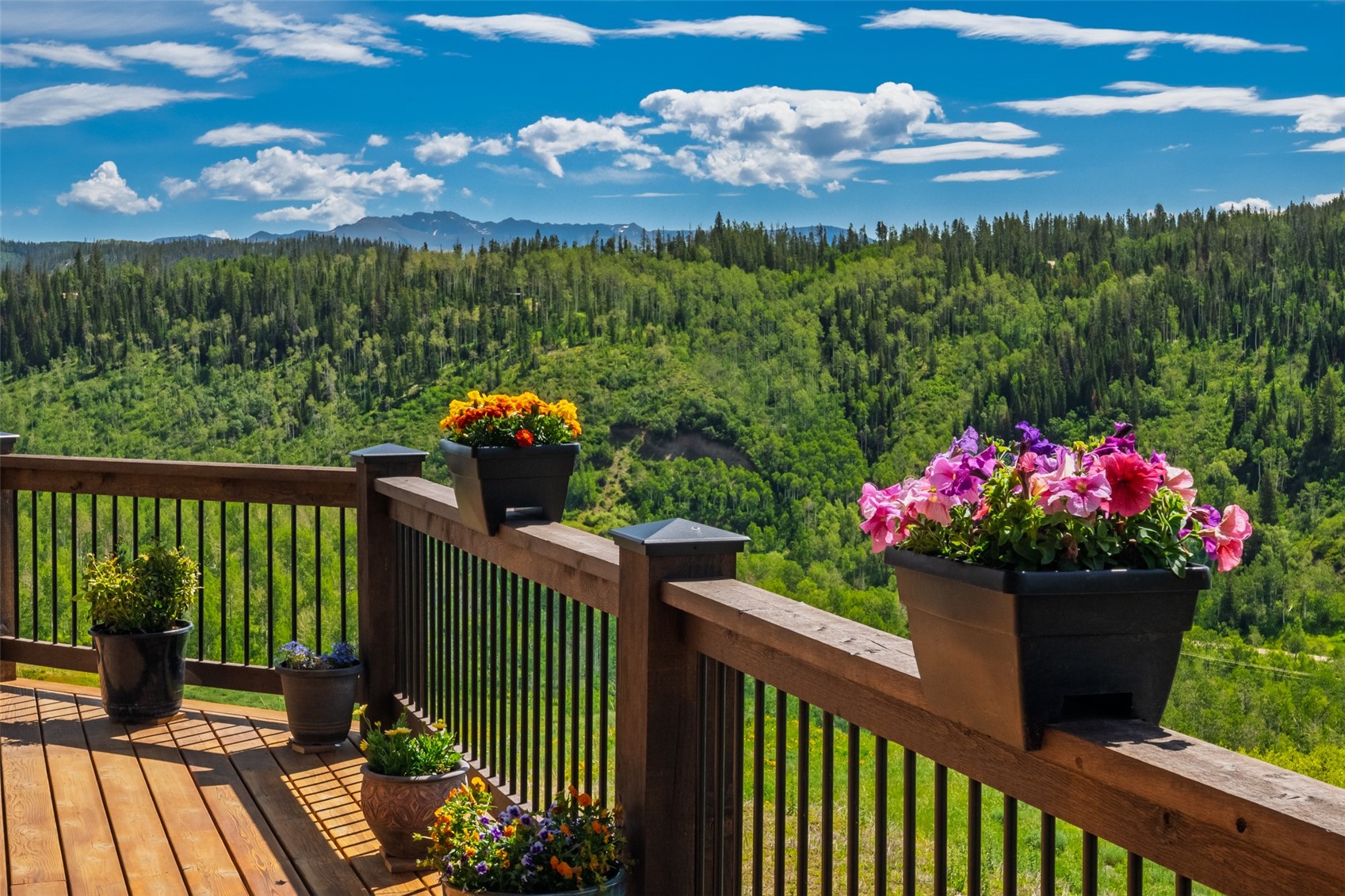57140 Green Bird Place Property Photo 12