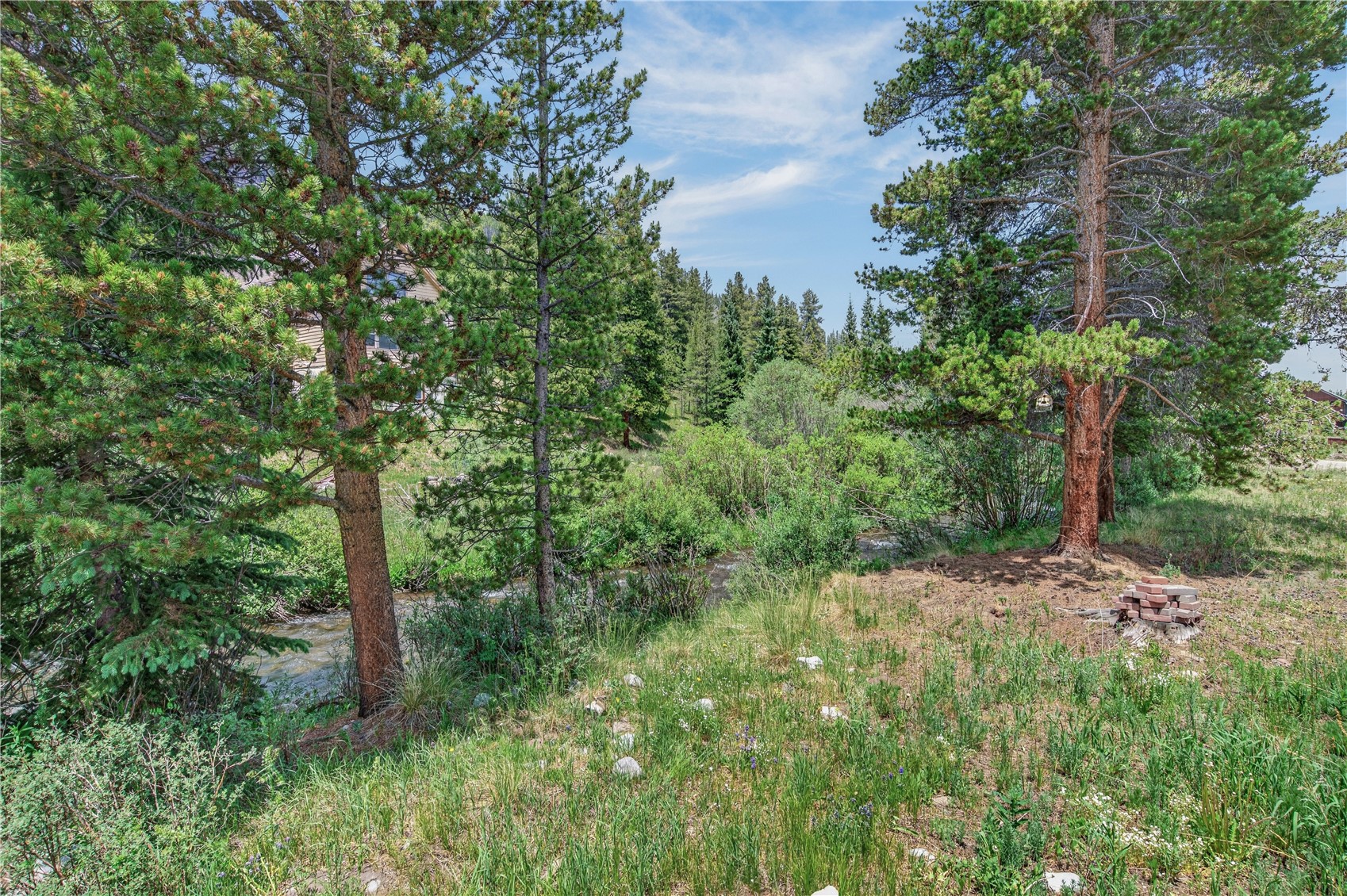 214 Mountain View Trail Property Photo 5
