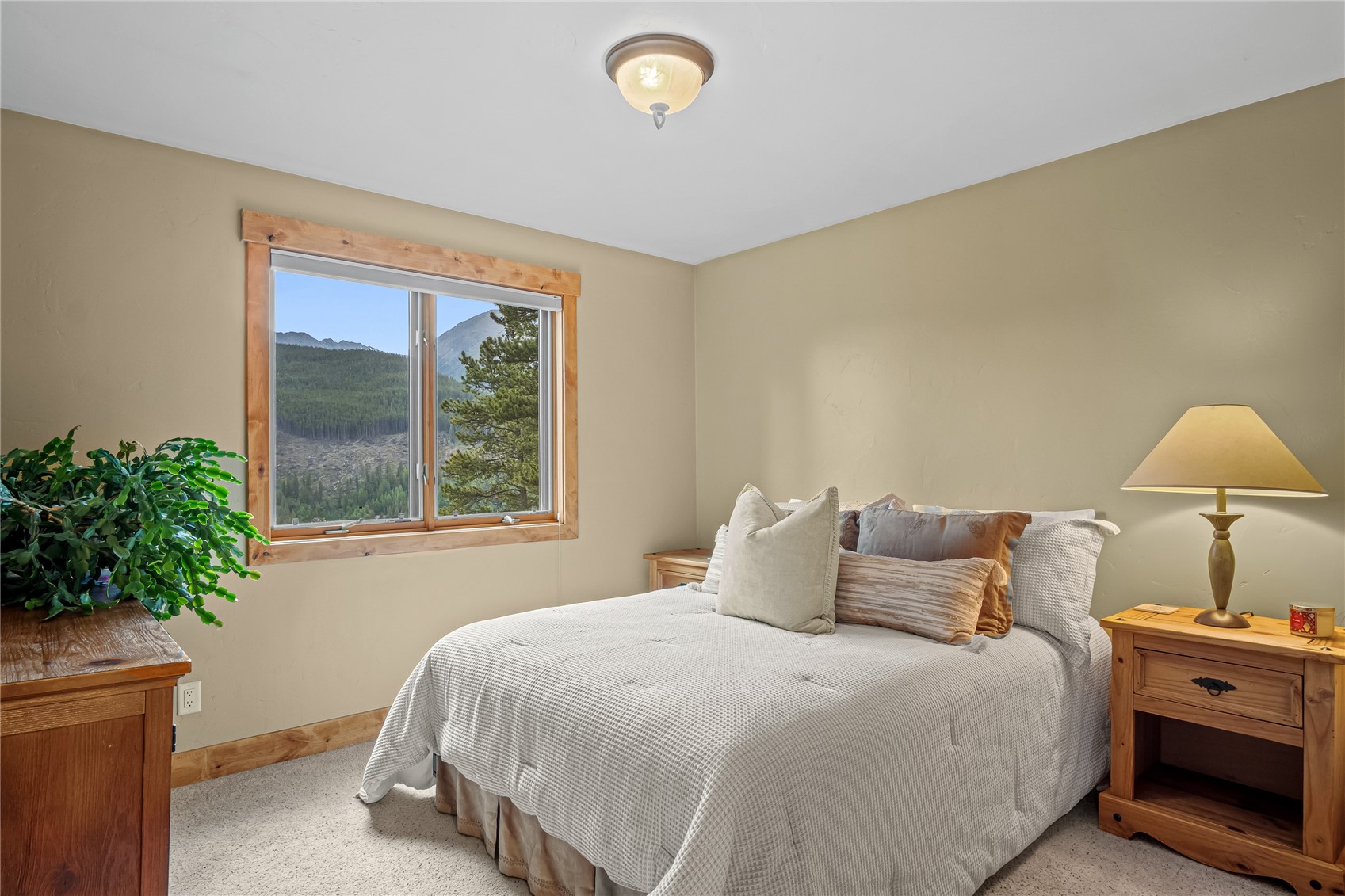 314 Coronet Drive Property Photo 26