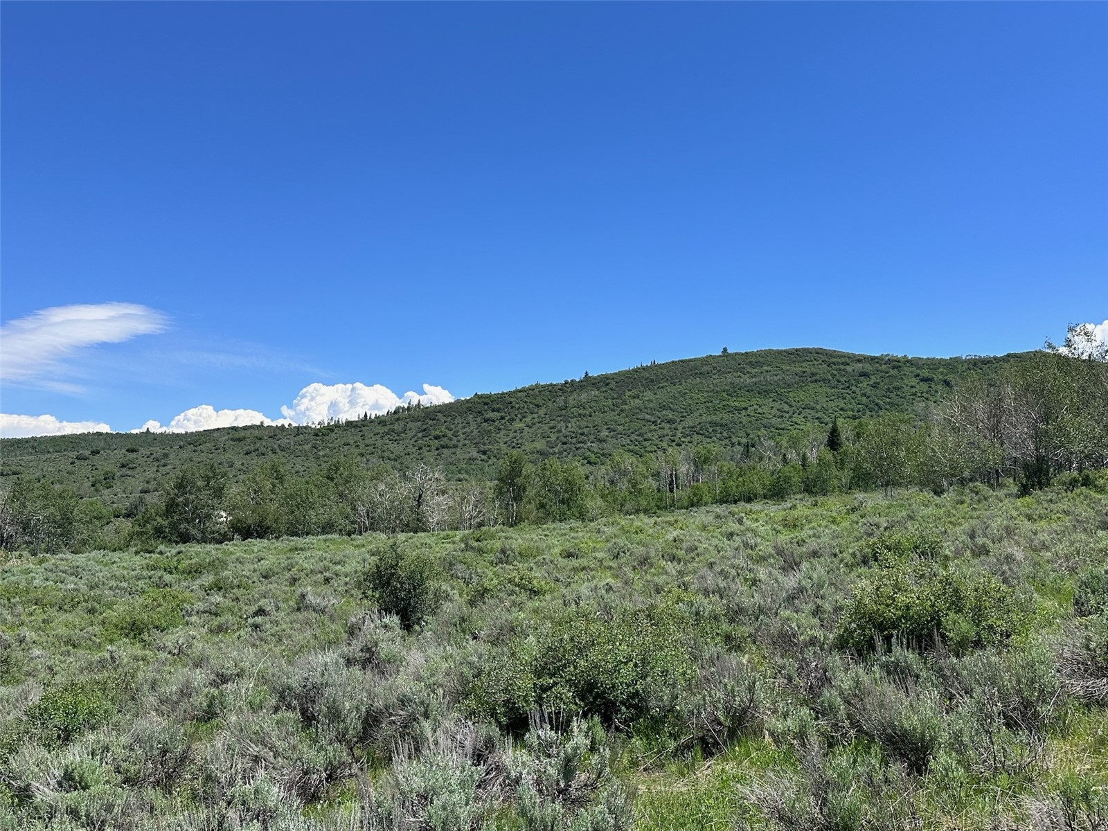 23910 Arapahoe Road Property Photo 3
