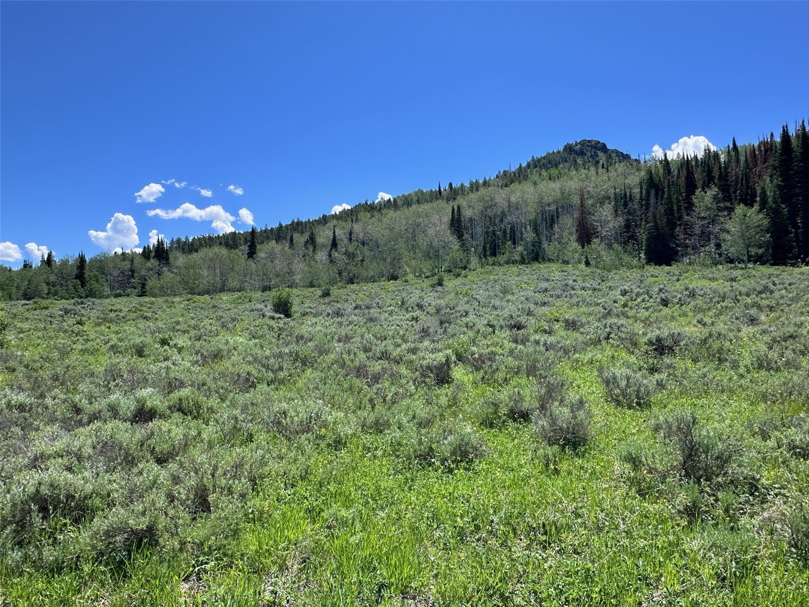 23910 Arapahoe Road Property Photo 4