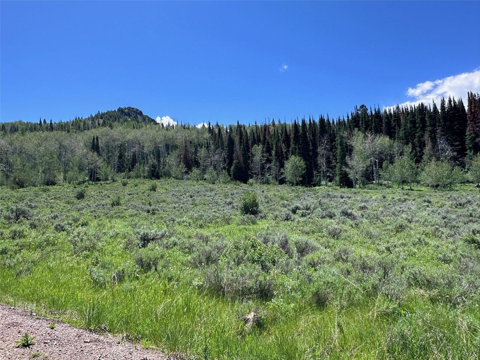 23910 Arapahoe Road Property Photo 6