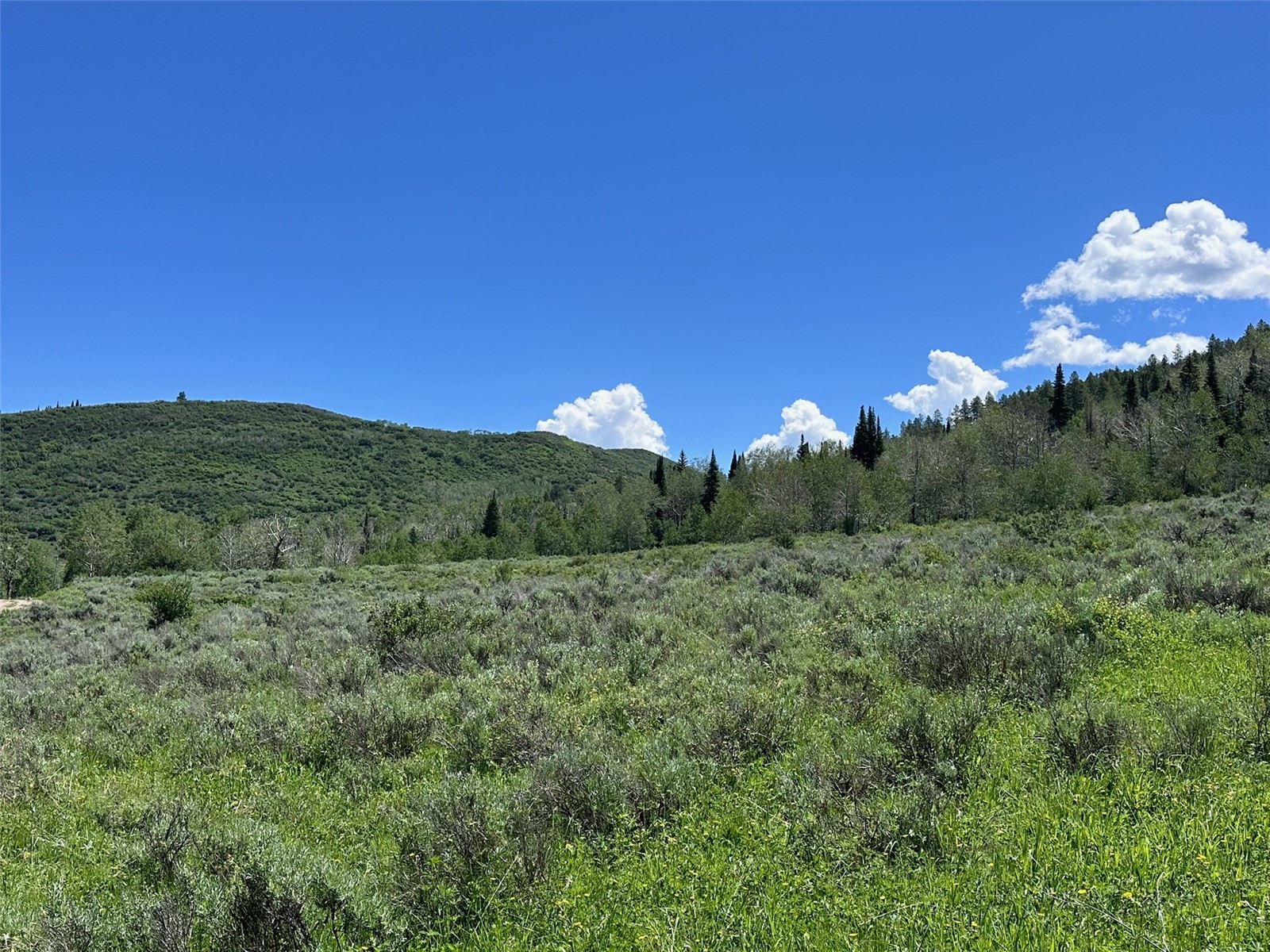 23910 Arapahoe Road Property Photo 8