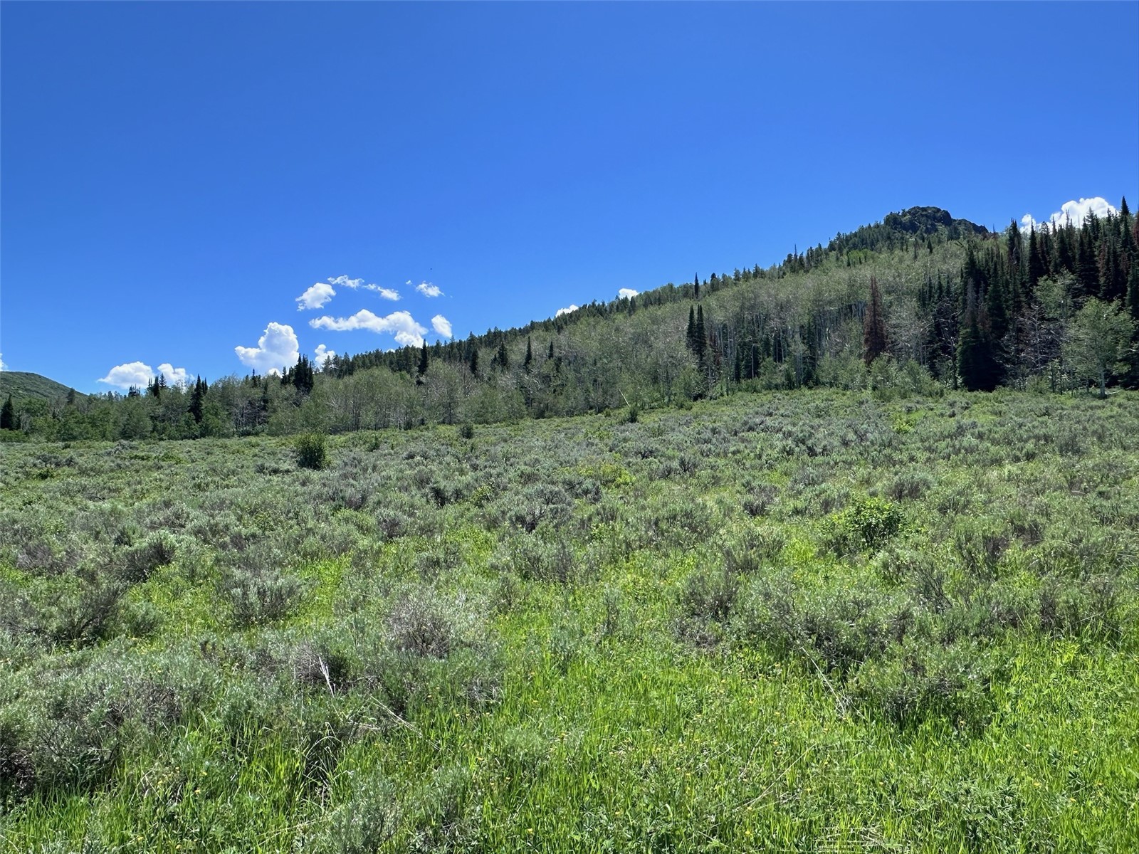23910 Arapahoe Road Property Photo 9