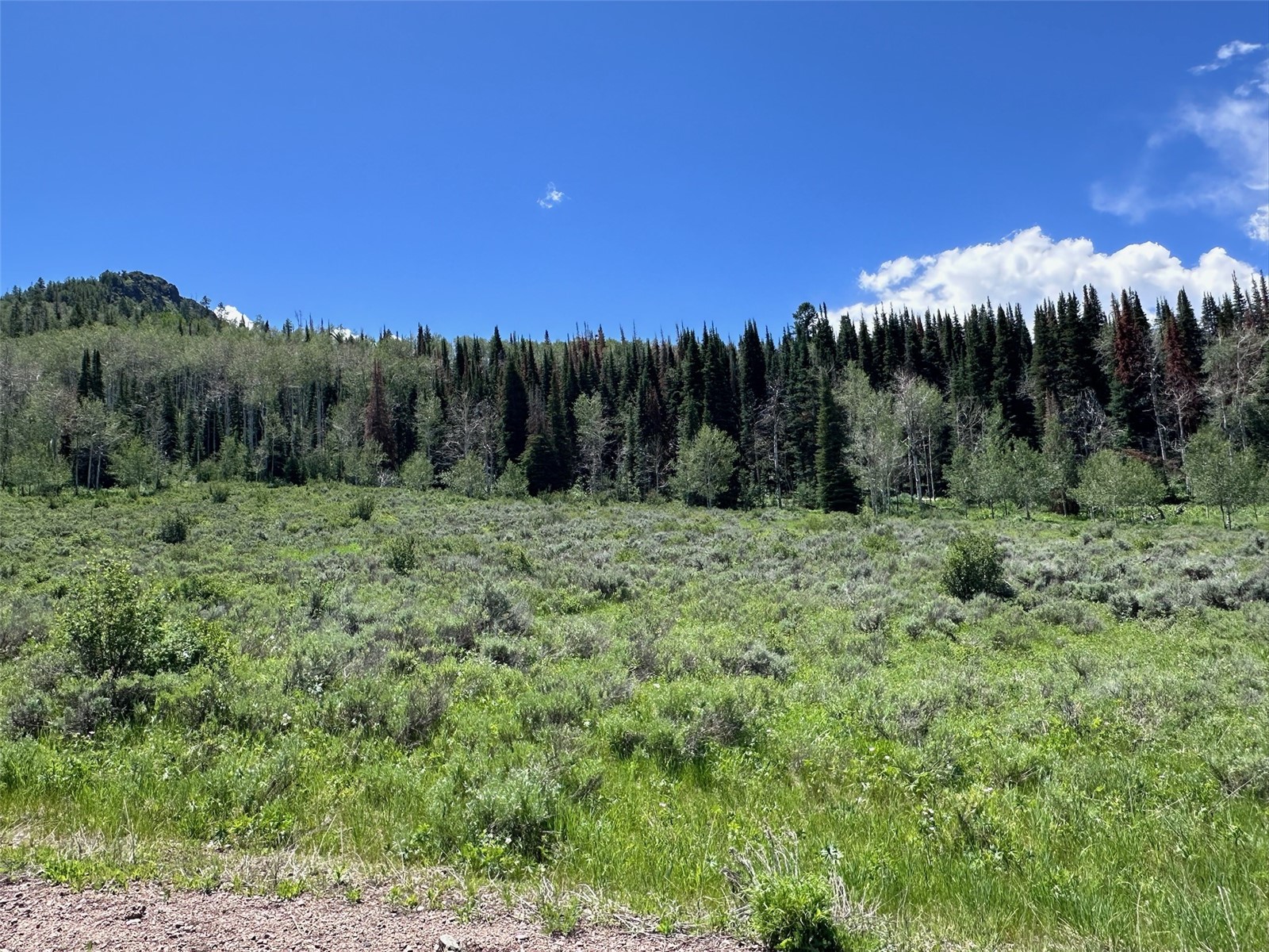 23910 Arapahoe Road Property Photo 10
