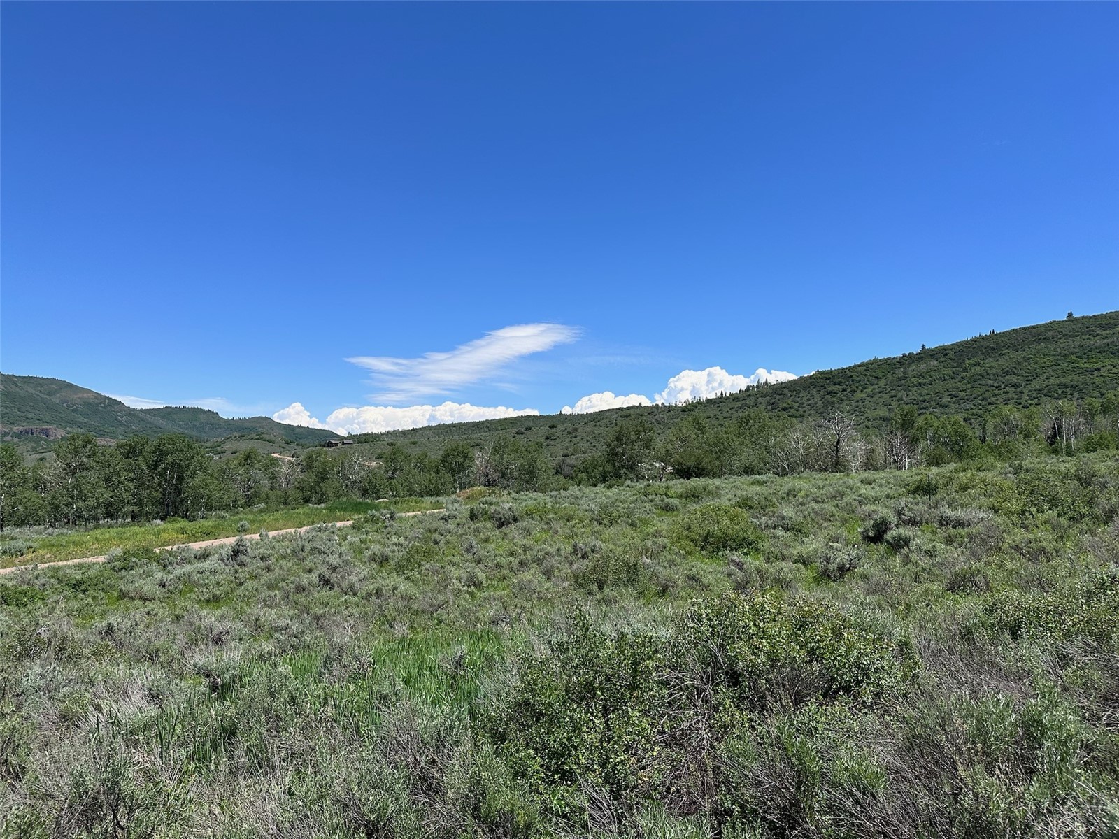 23910 Arapahoe Road Property Photo 11